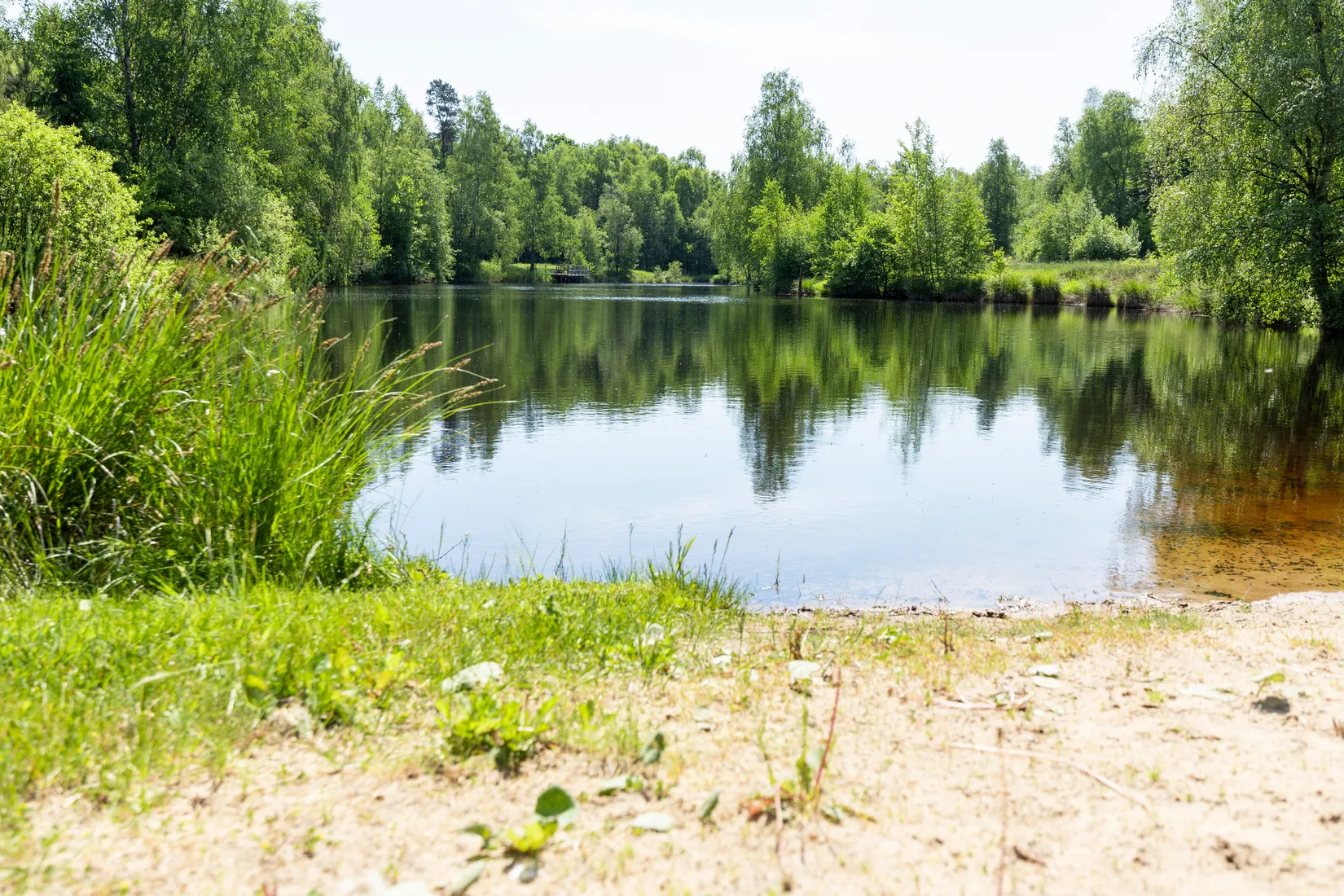 Tomt, Sjöberga 607, Hässleholm