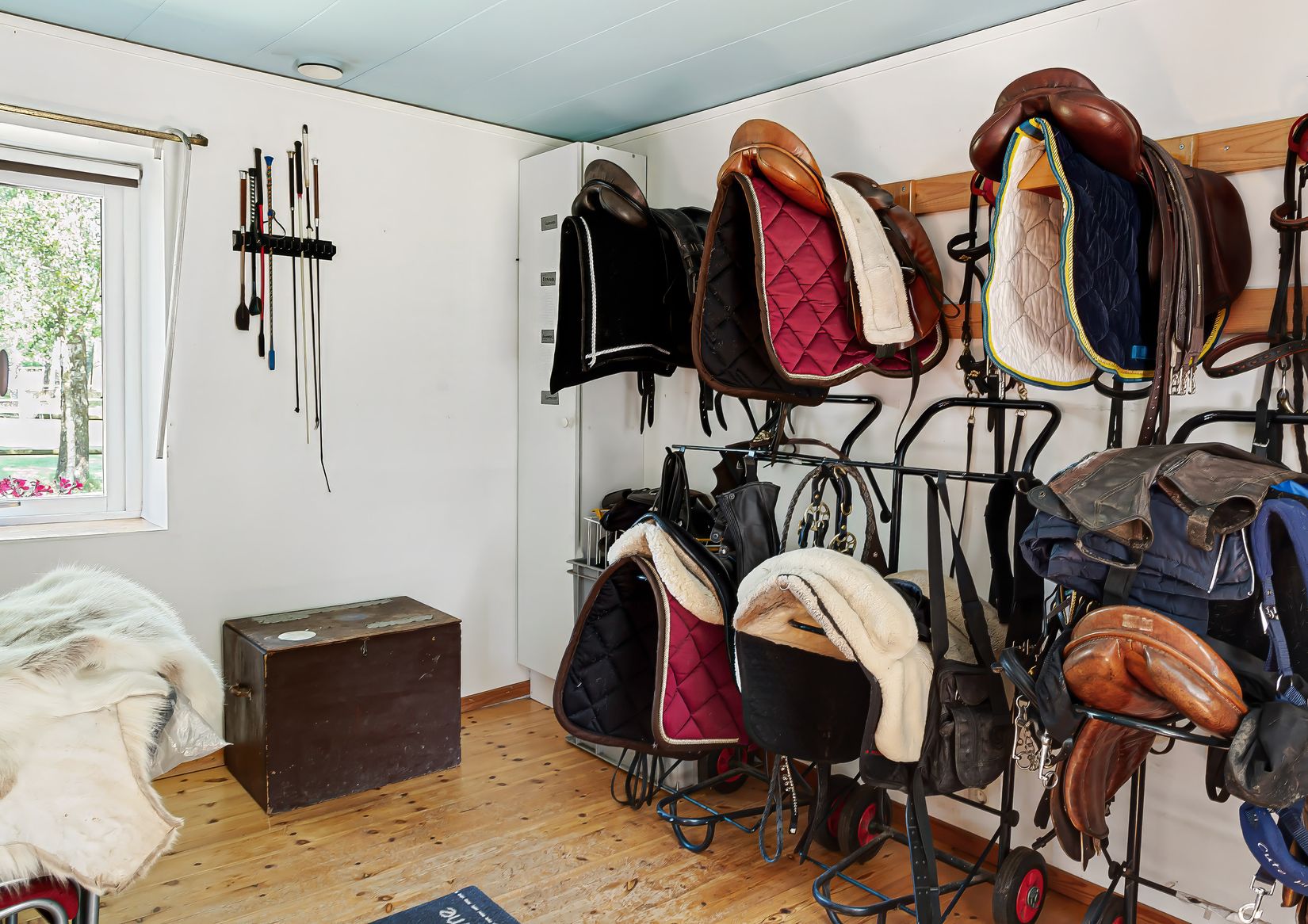 Gård/Skog, Karupsvägen 26-8, Blentarp, Sjöbo