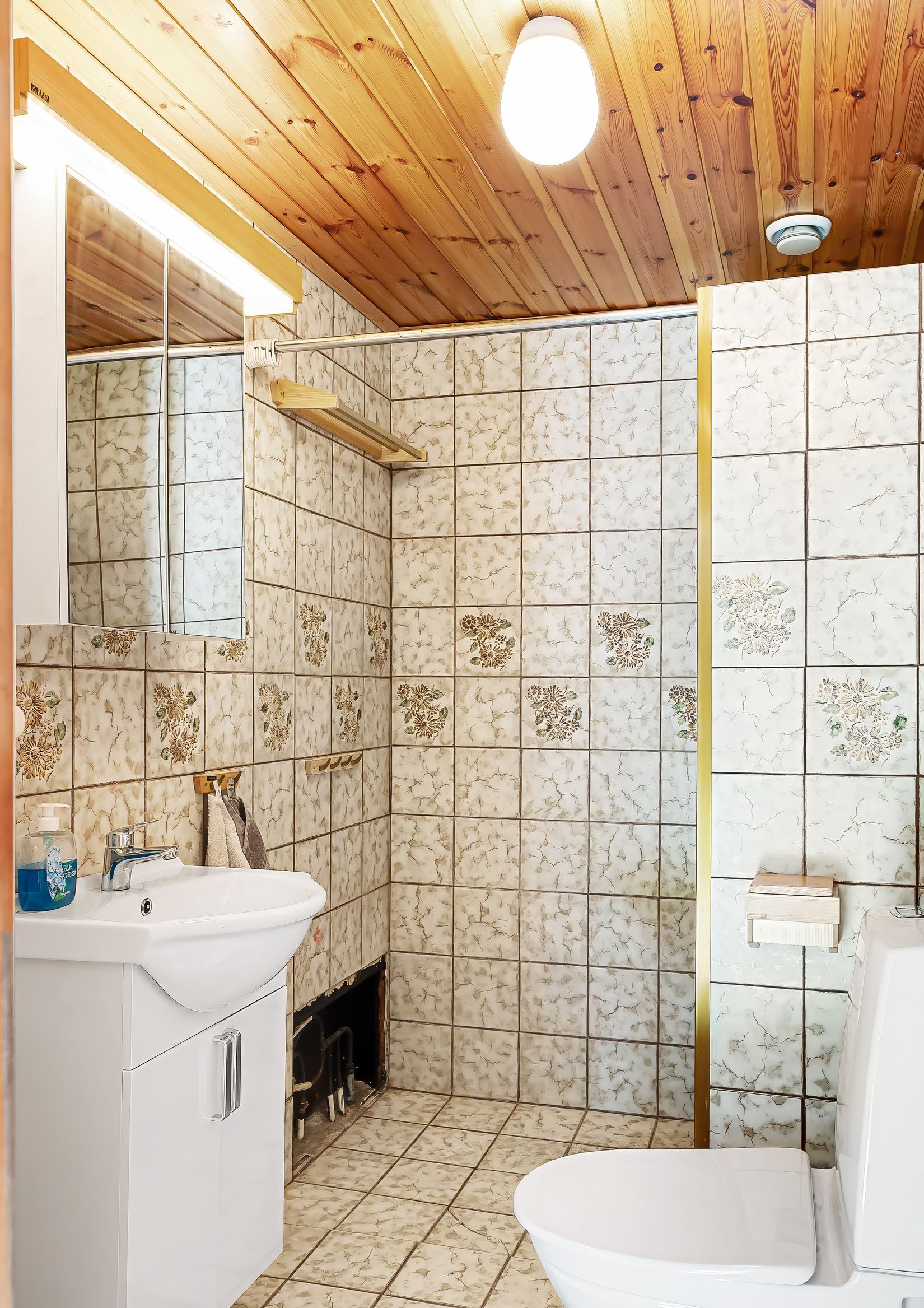 Gård/Skog, Karupsvägen 26-8, Blentarp, Sjöbo