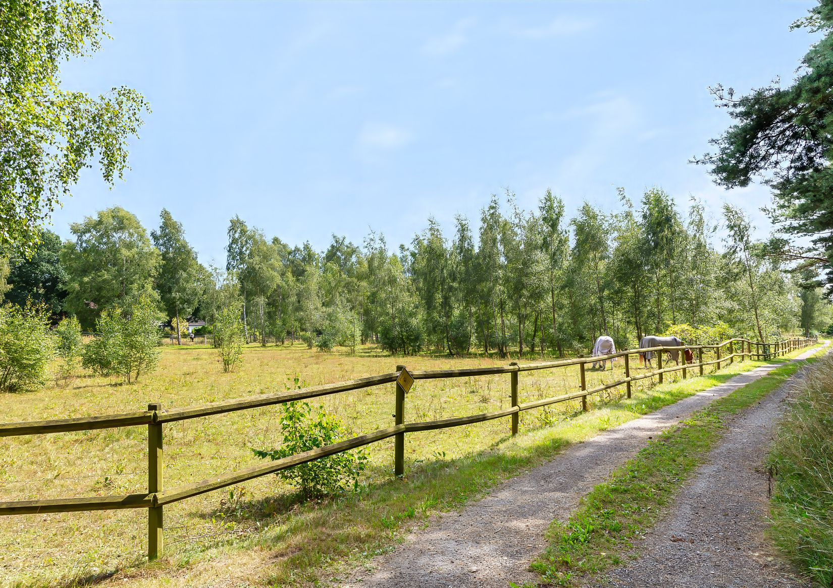 Gård/Skog, Karupsvägen 26-8, Blentarp, Sjöbo