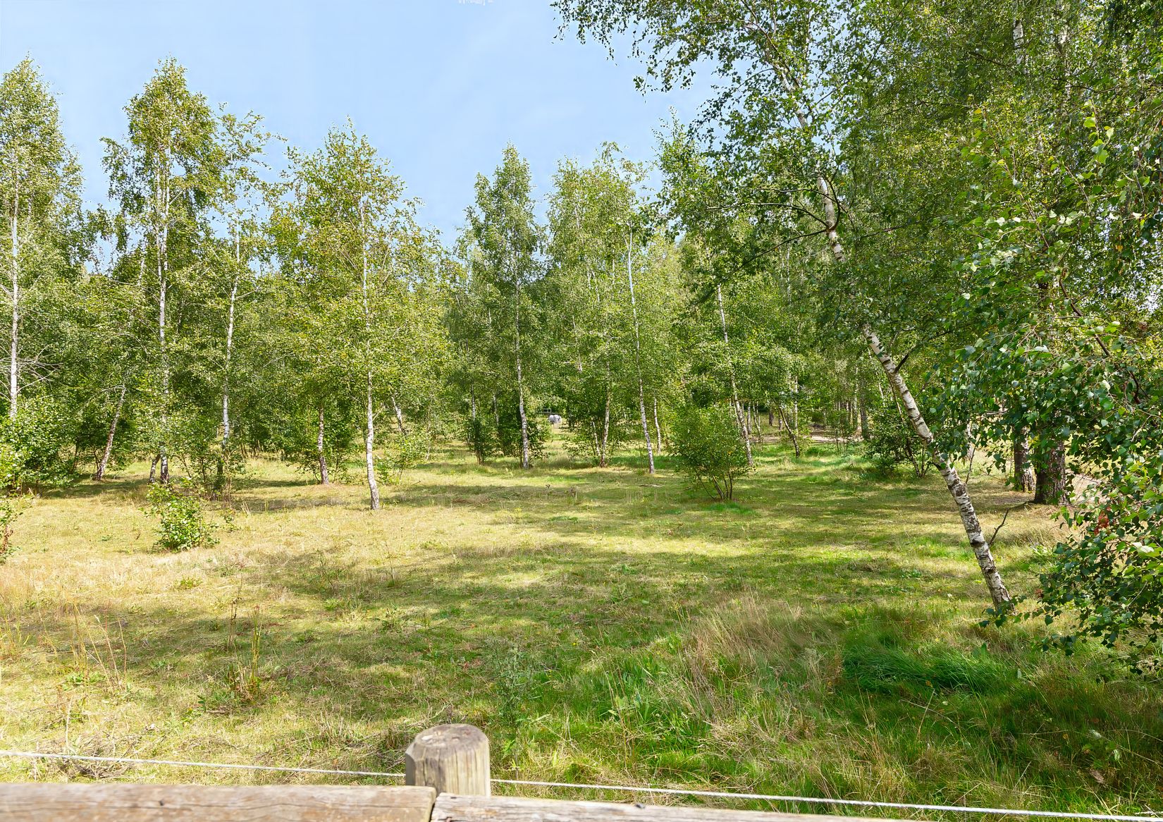 Gård/Skog, Karupsvägen 26-8, Blentarp, Sjöbo