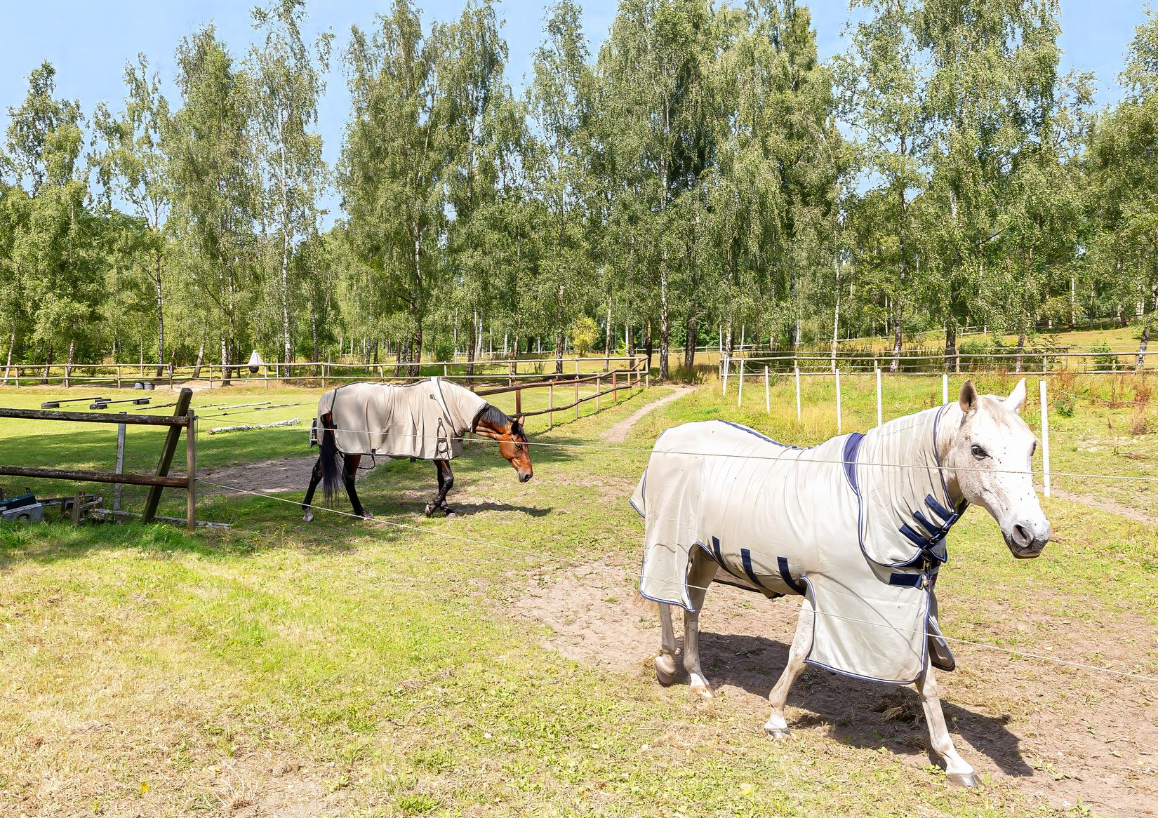 Gård/Skog, Karupsvägen 26-8, Blentarp, Sjöbo