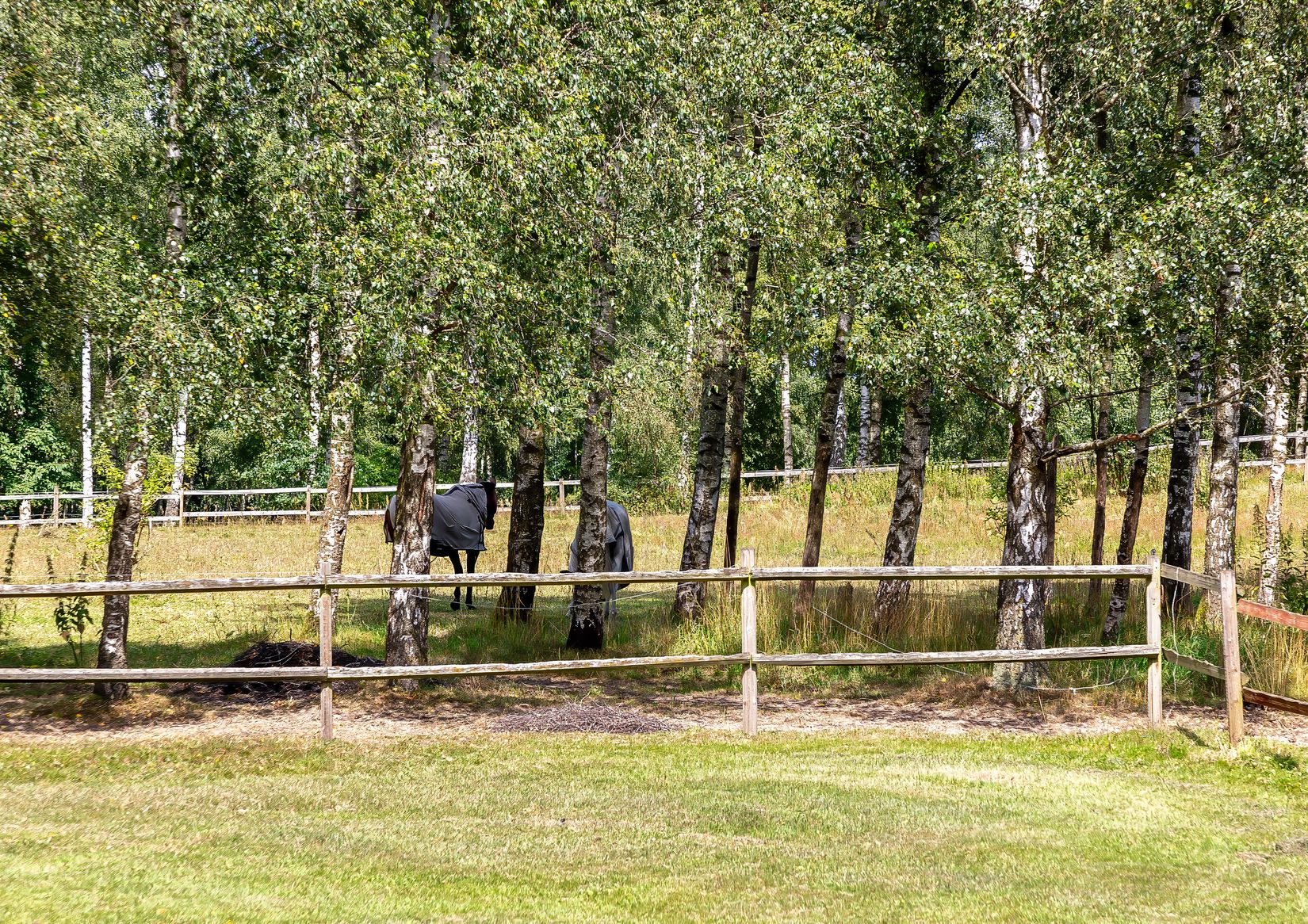 Gård/Skog, Karupsvägen 26-8, Blentarp, Sjöbo