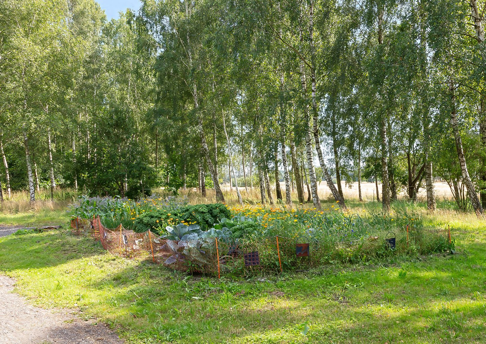 Gård/Skog, Karupsvägen 26-8, Blentarp, Sjöbo