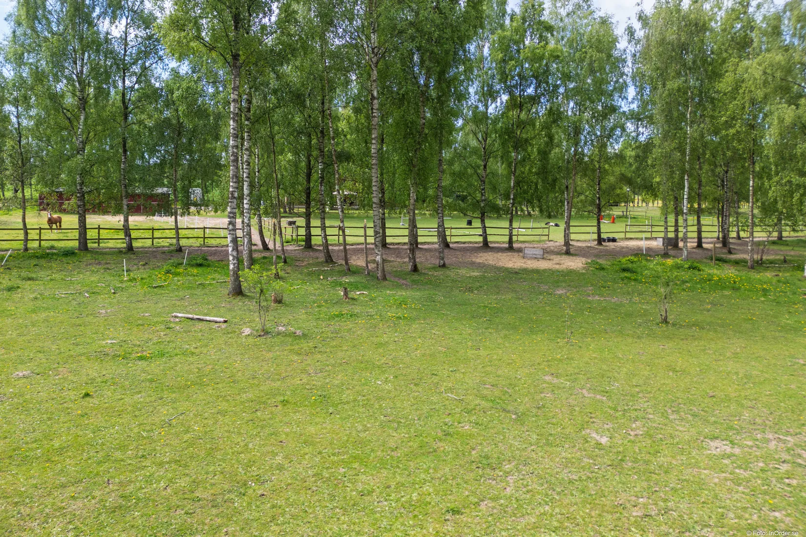 Gård/Skog, Karupsvägen 26-8, Blentarp, Sjöbo