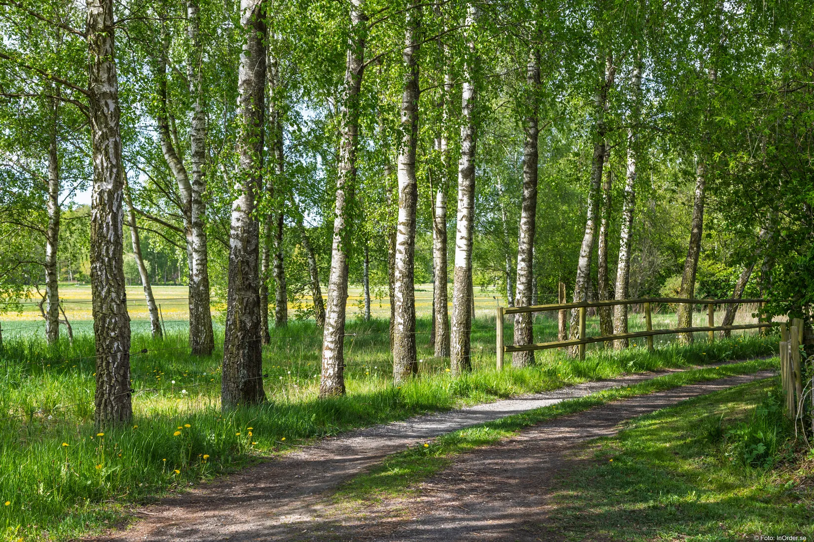 Gård/Skog, Karupsvägen 26-8, Blentarp, Sjöbo