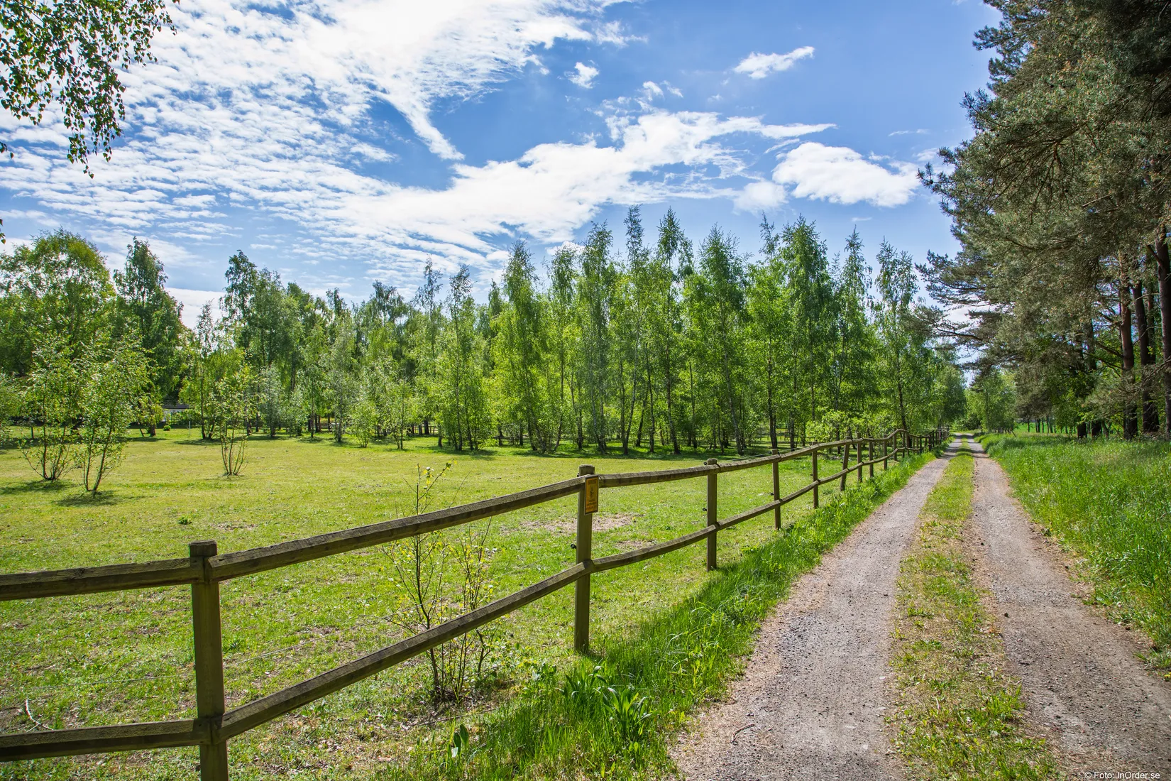 Gård/Skog, Karupsvägen 26-8, Blentarp, Sjöbo