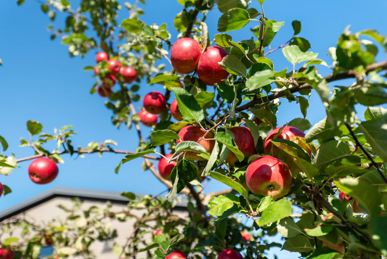 Radhus, Lövhagsvägen 23, Ullna Strand, Arninge, Täby