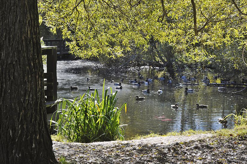Bostadsrätt, Tuvvägen 19, 4 tr, Handen, Haninge