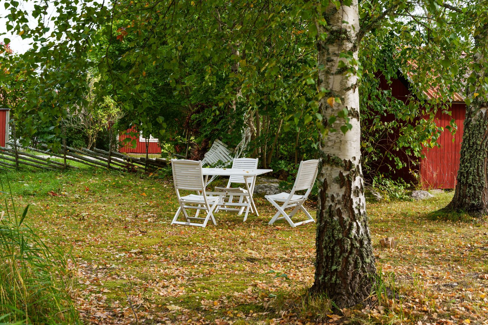 Gård/Skog, Grönö 320, Skärplinge, Tierp