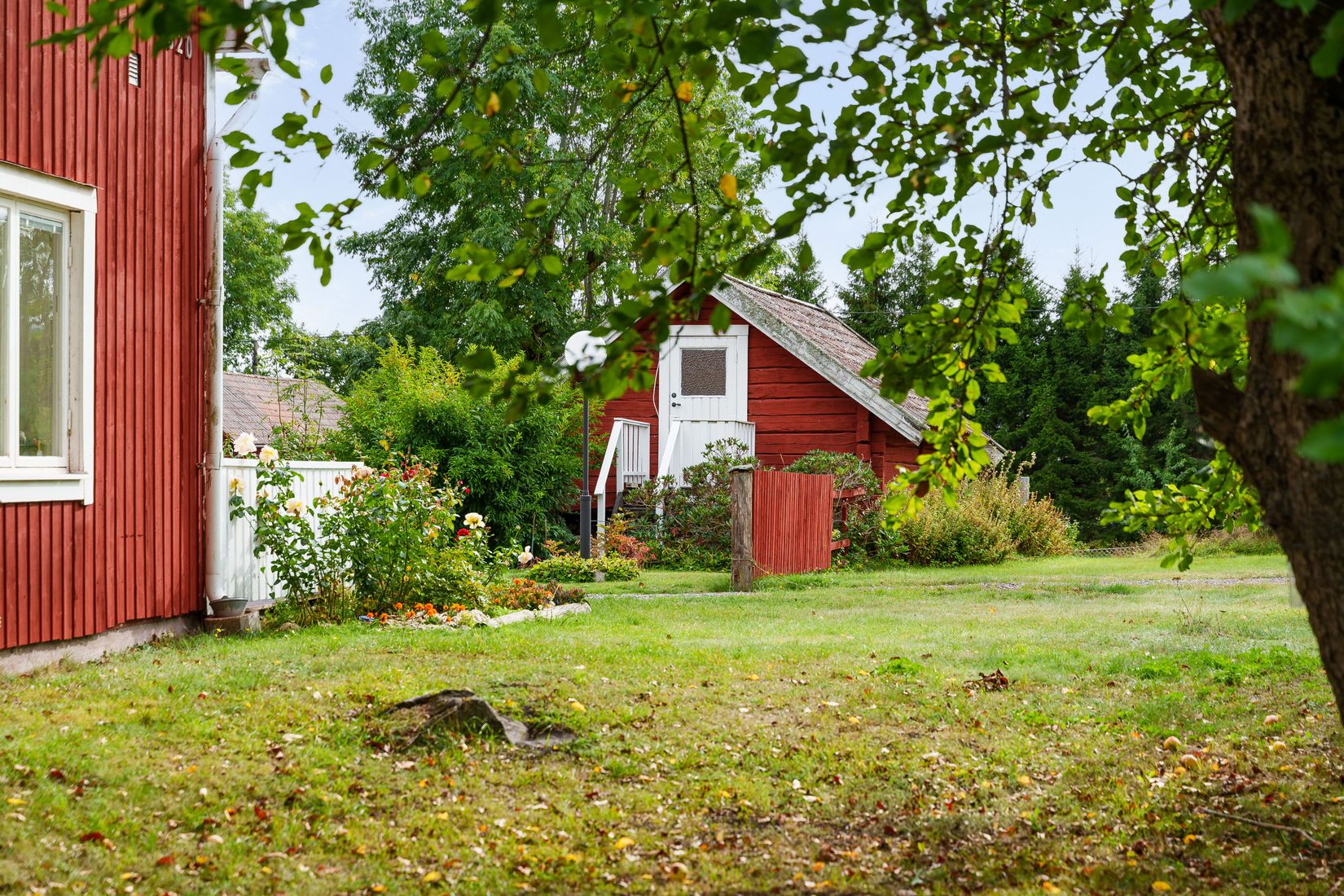 Gård/Skog, Grönö 320, Skärplinge, Tierp