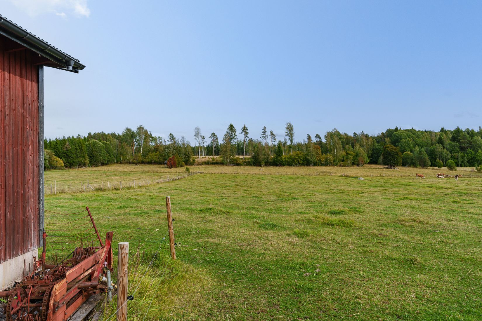 Gård/Skog, Grönö 320, Skärplinge, Tierp