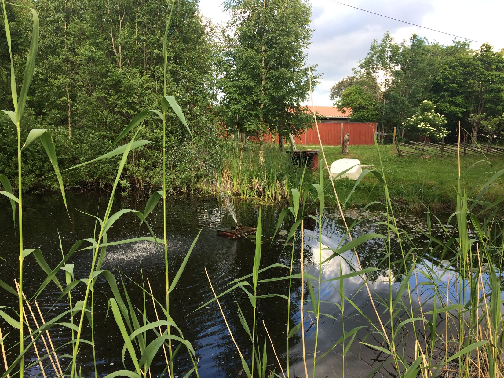 Gård/Skog, Grönö 320, Skärplinge, Tierp