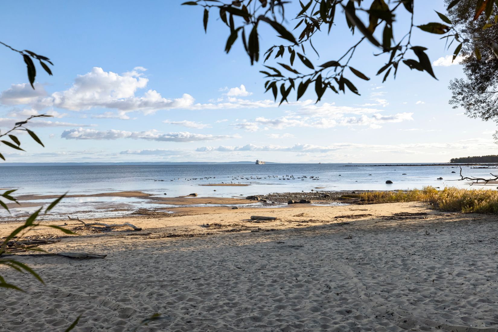 Övrigt, Gamla Knebildstorp 34, Knebildstorp, Halmstad