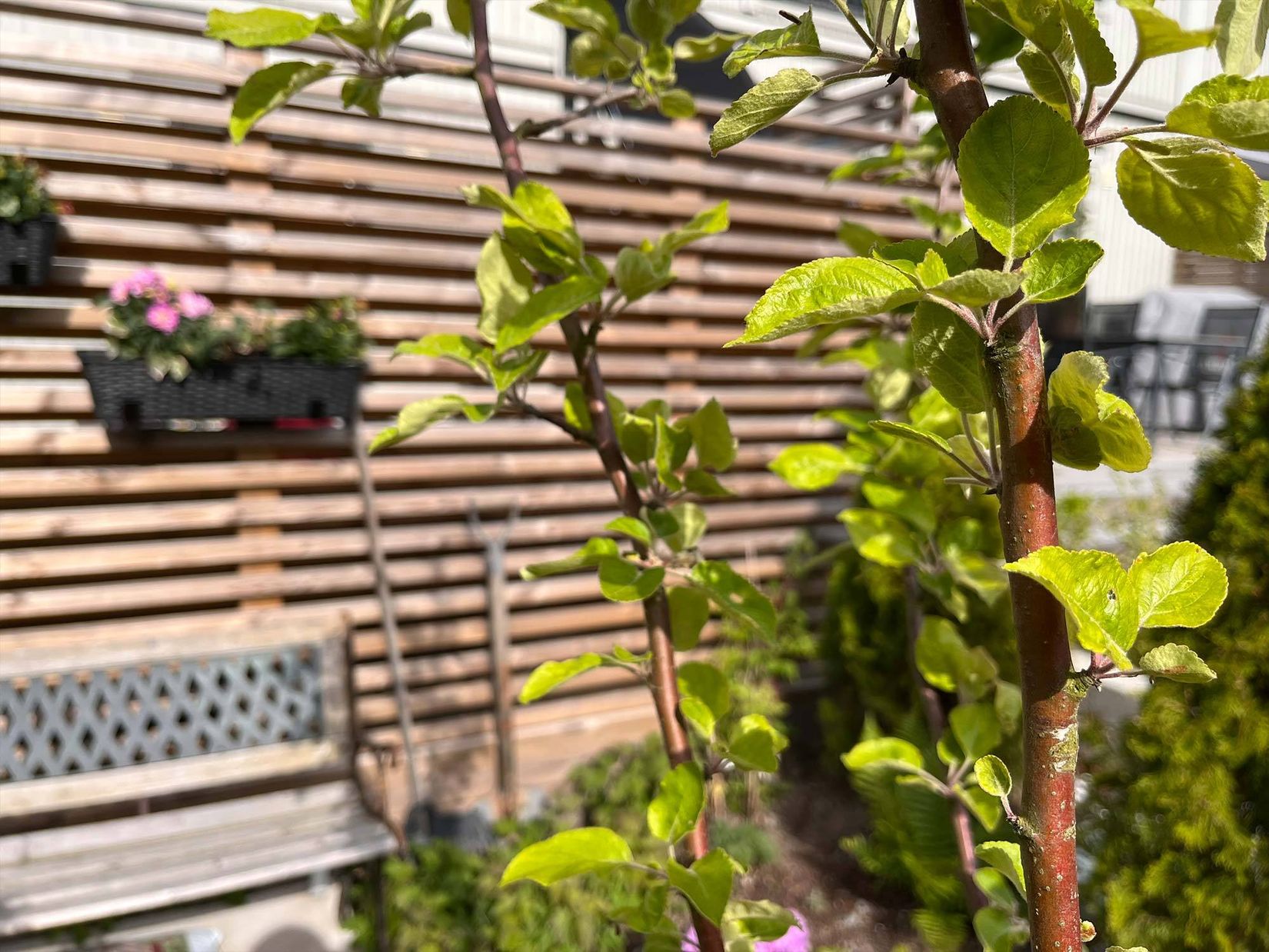 Radhus, Riggvägen 6, Södra Nynäshamn, Nynäshamn