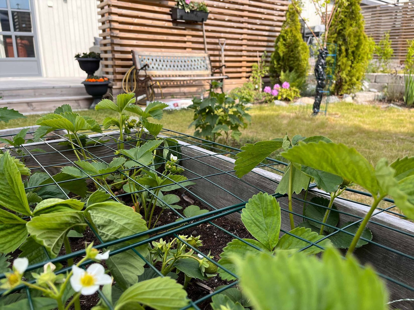 Radhus, Riggvägen 6, Södra Nynäshamn, Nynäshamn