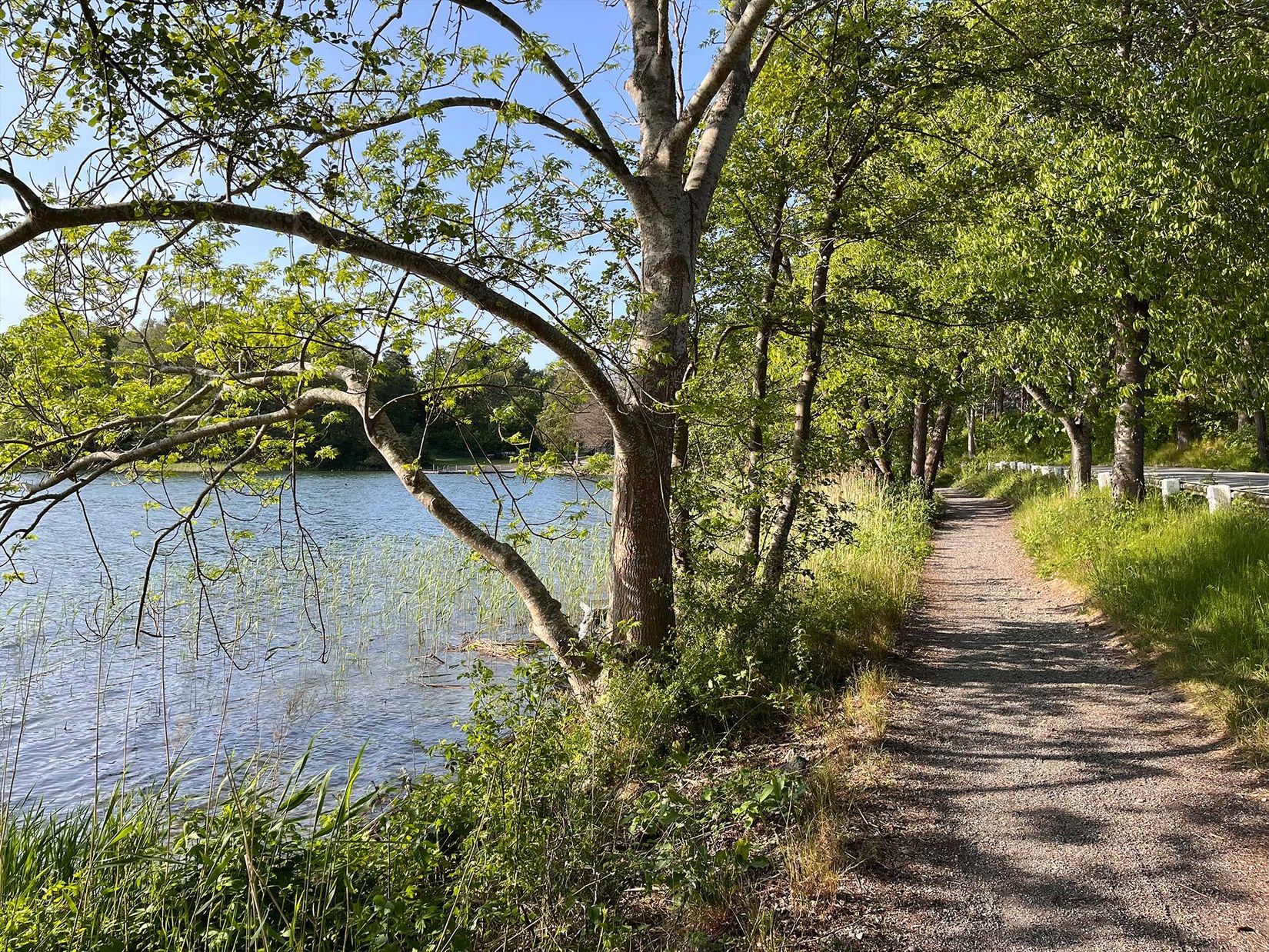 Radhus, Riggvägen 6, Södra Nynäshamn, Nynäshamn