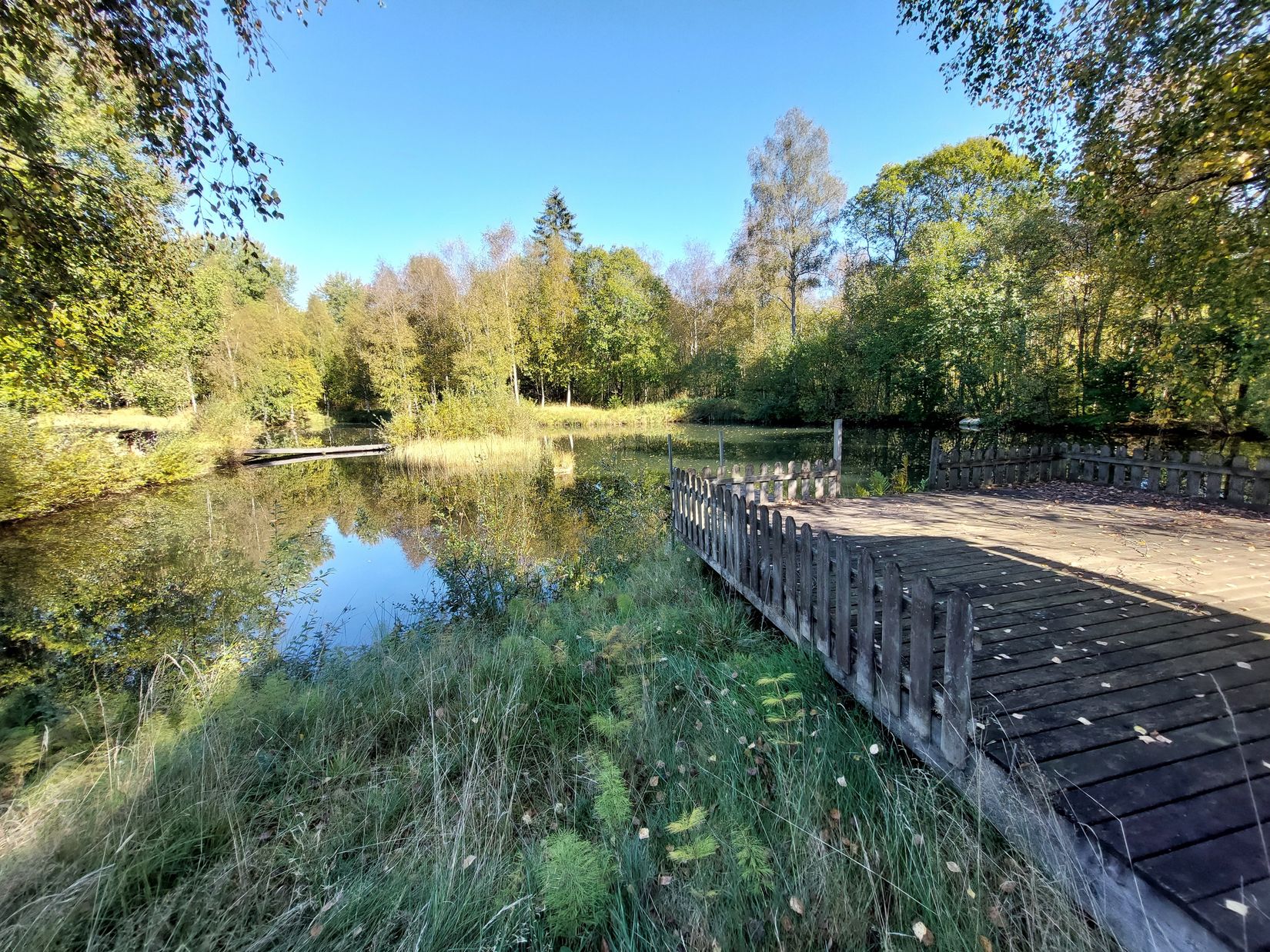Gård/Skog, Lilla Skedskamma 1, Dannike, Borås