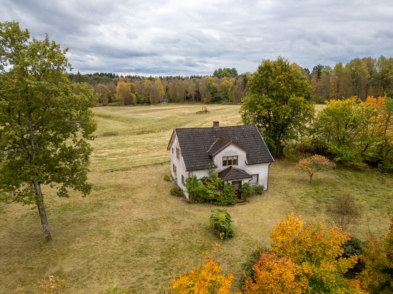 Gård/Skog, Lilla Skedskamma 1, Dannike, Borås