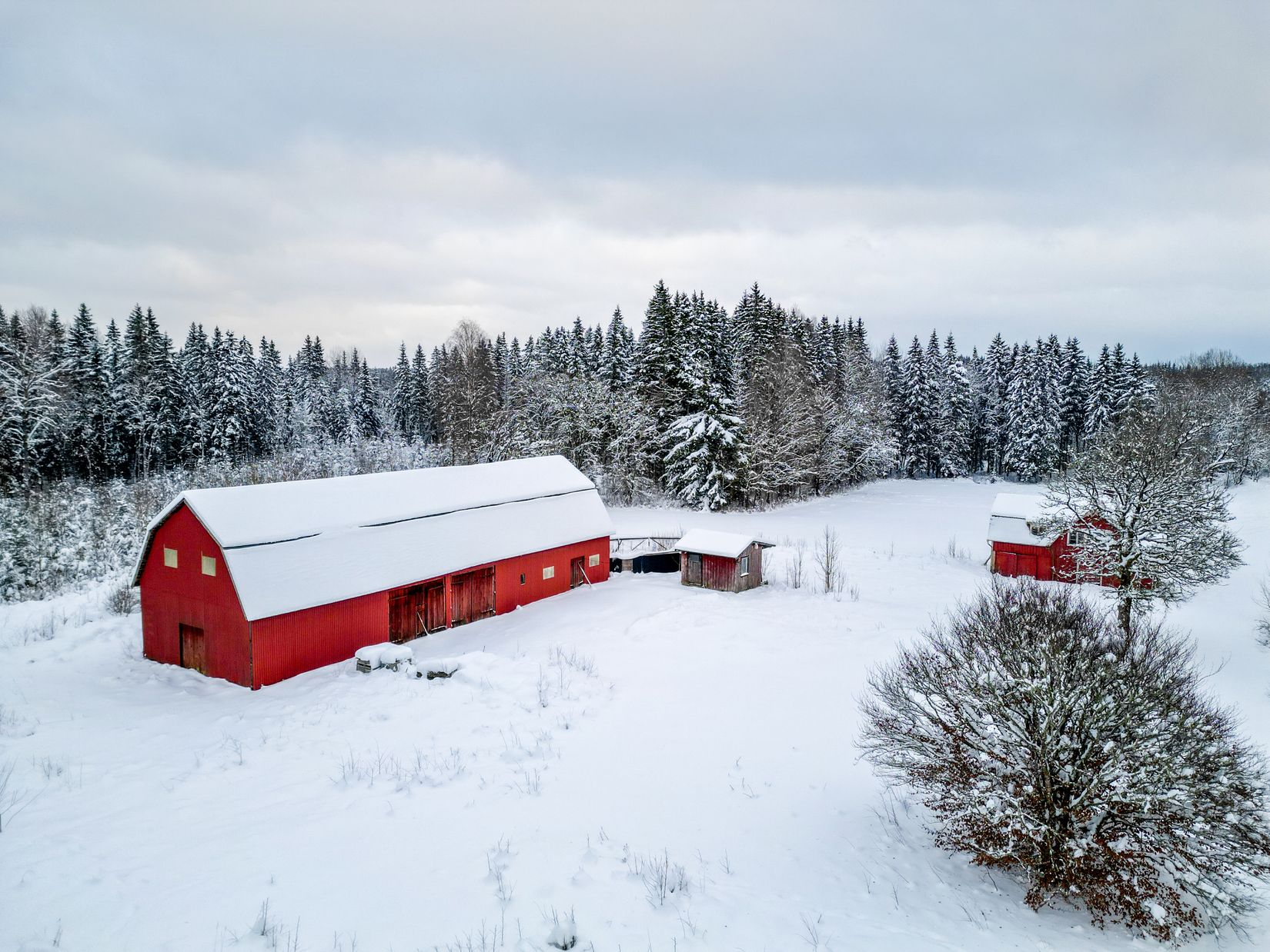 Gård/Skog, Lilla Skedskamma 1, Dannike, Borås