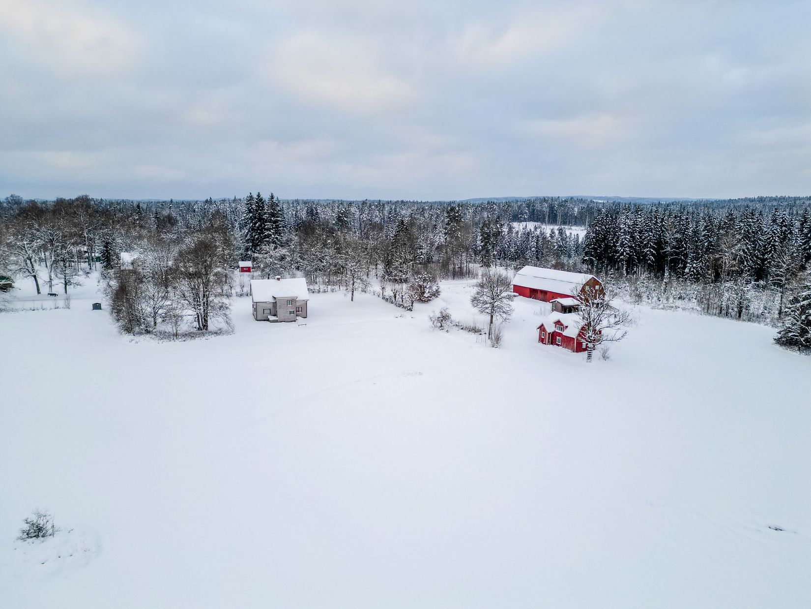 Gård/Skog, Lilla Skedskamma 1, Dannike, Borås