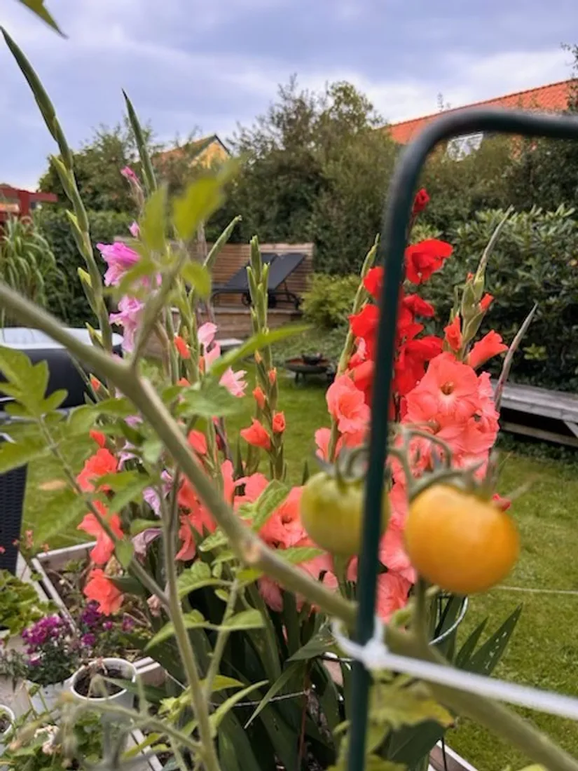 Radhus, Silleskärsgatan 63, Önnered, Göteborg
