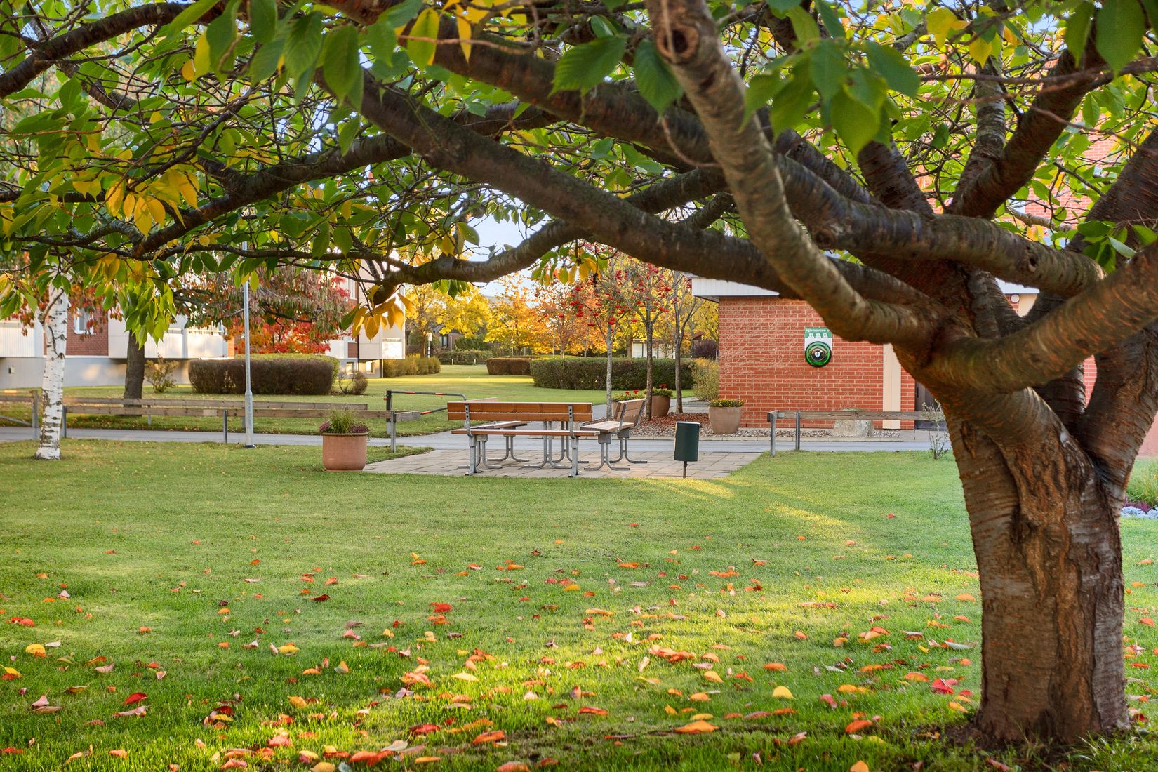 Bostadsrätt, Högalidsvägen 46 D, Högalid, Trelleborg