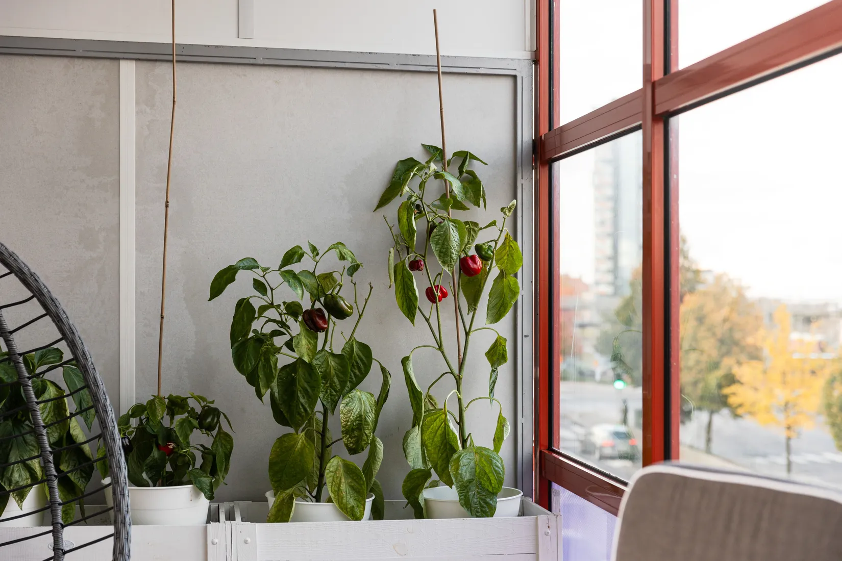 Bostadsrätt, Engelbrektsgatan 29, Vasastaden, Linköping