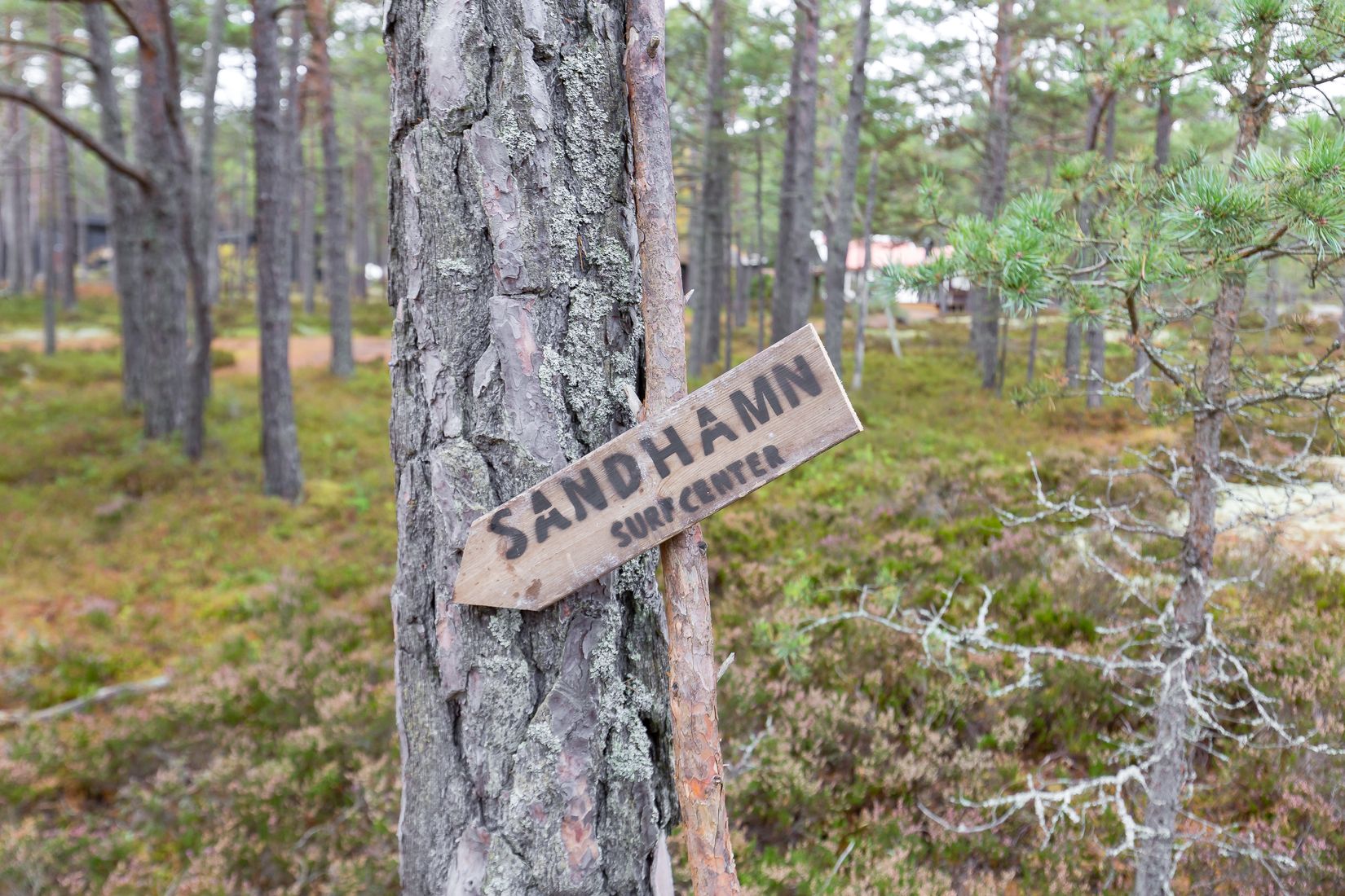 Tomt, Sandhamn, Sandhamn, Värmdö