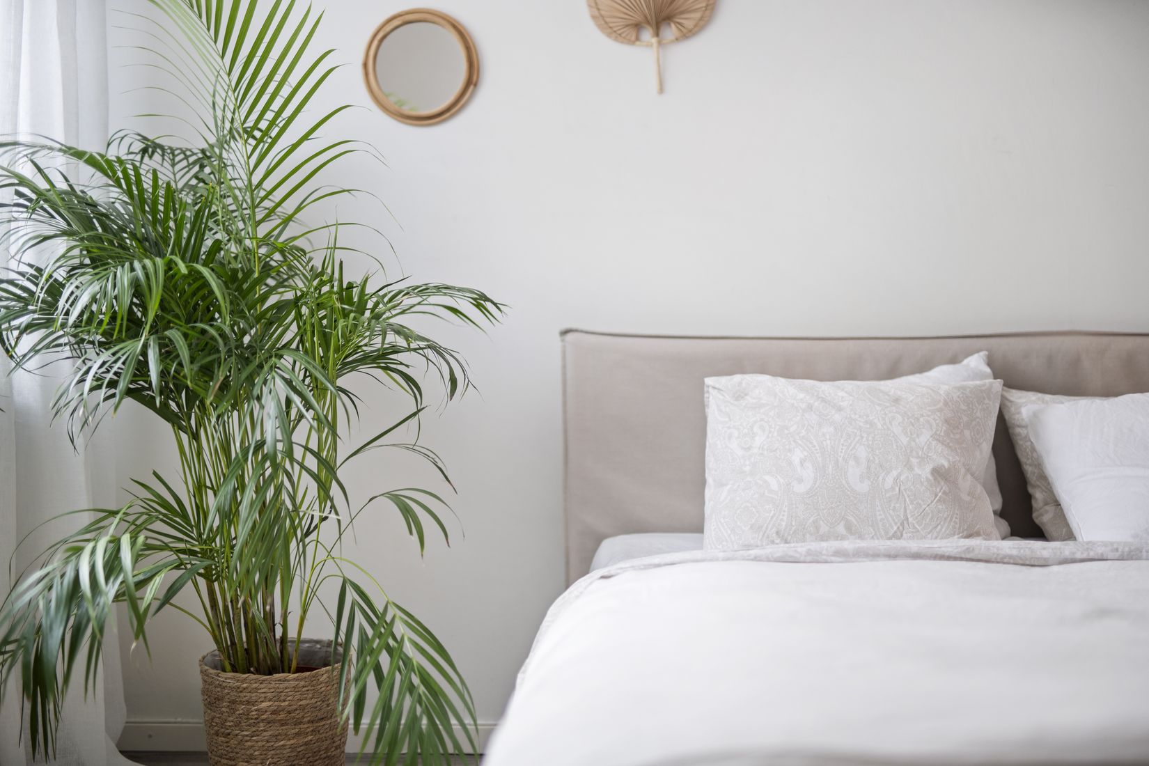 Bostadsrätt, Vaksalagatan 55, Fålhagen, Uppsala