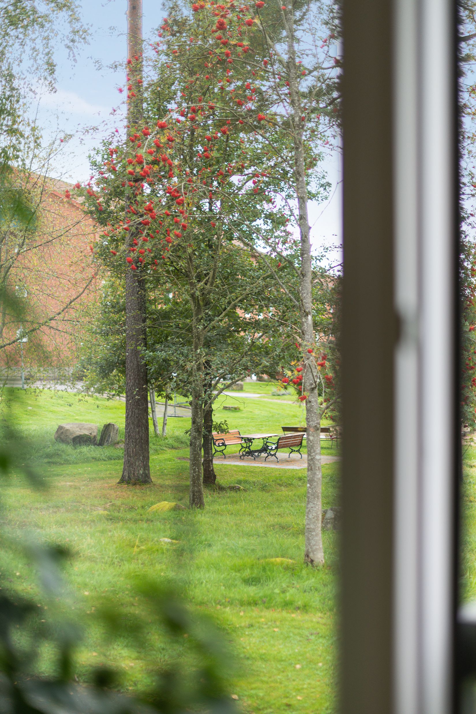 Bostadsrätt, Tingsgatan 41, Dammsvedjan, Borås