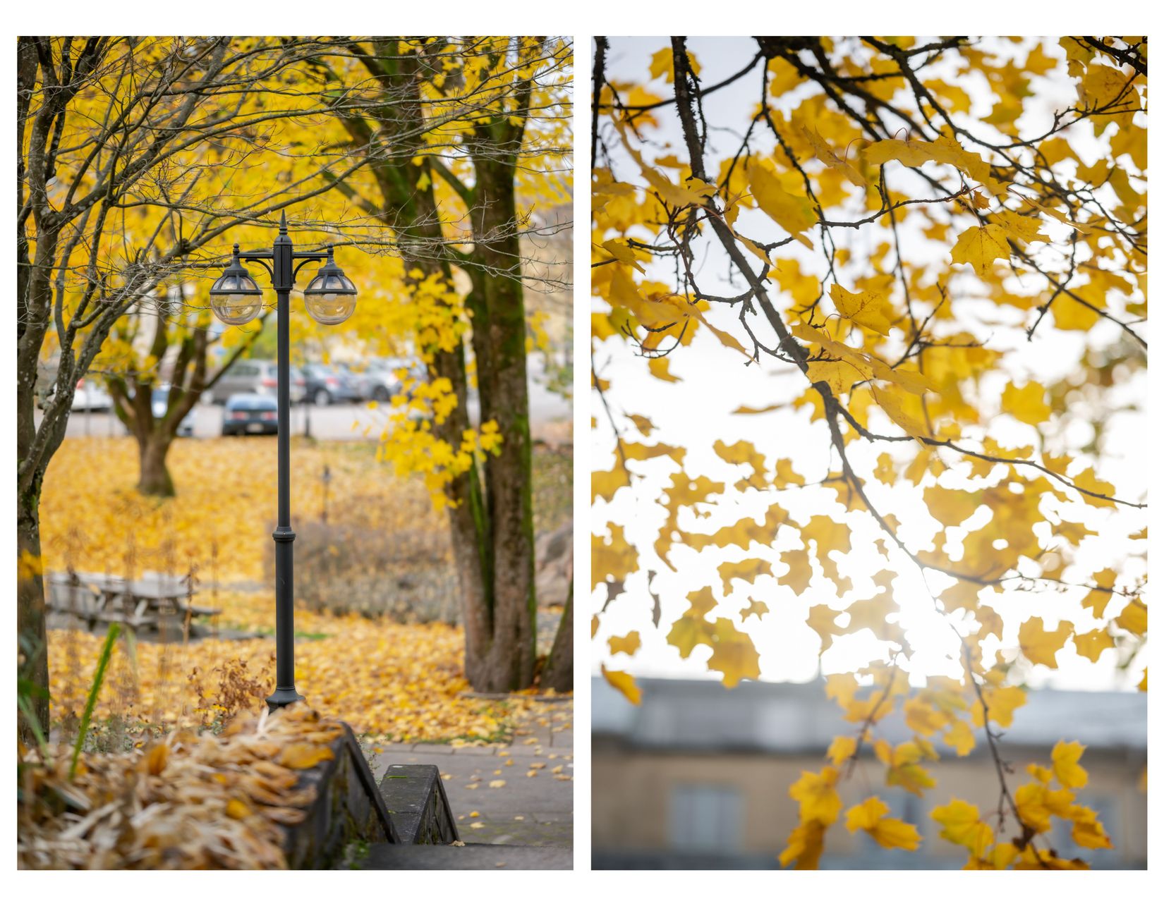 Bostadsrätt, Järnvägsgatan 21, Centrum, Borås