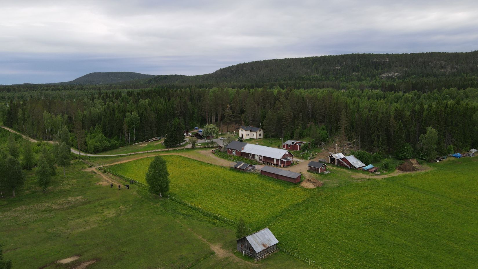 Gård/Skog, Råbäcken 70, Råbäcken, Boden