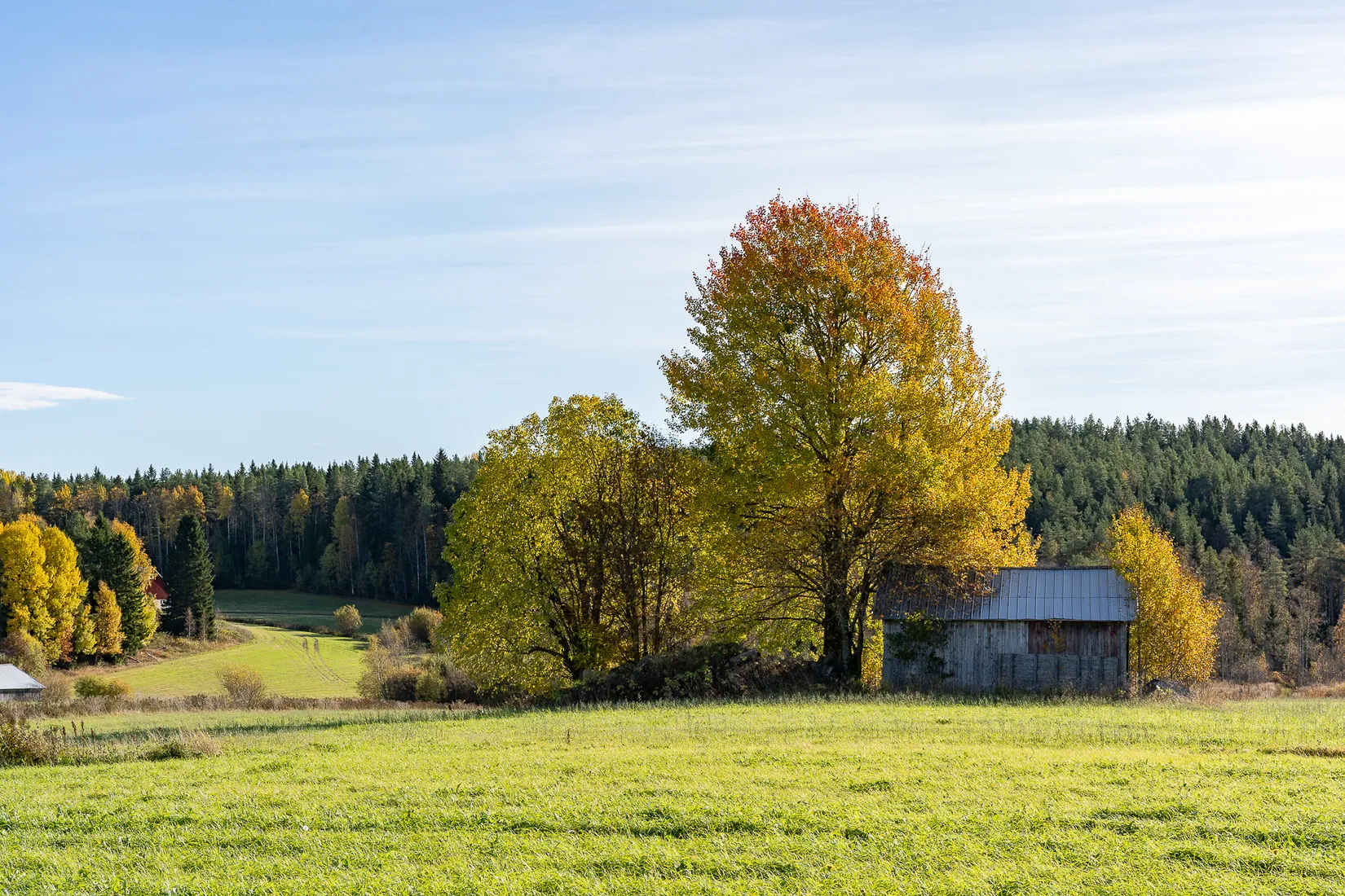 Gård/Skog, Grimsmark 20, Robertsfors