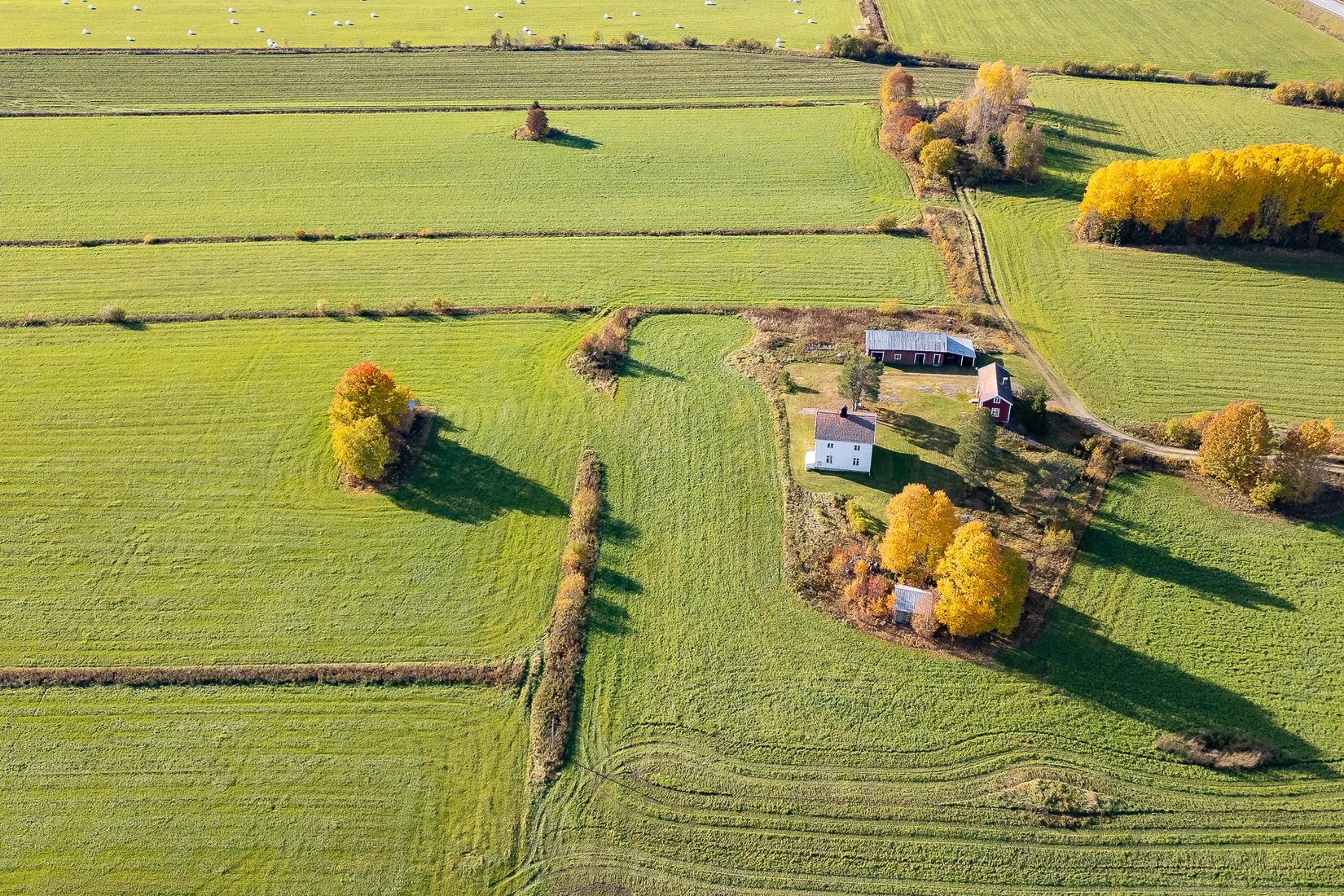 Gård/Skog, Grimsmark 20, Robertsfors