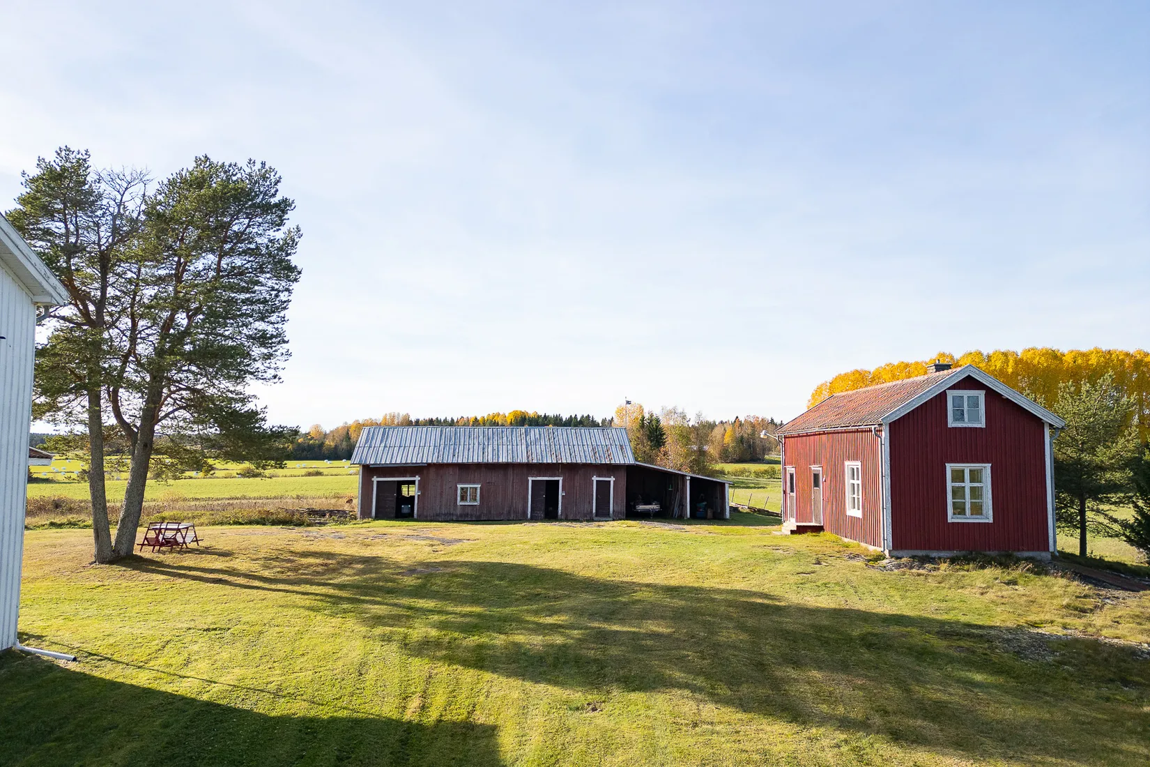 Gård/Skog, Grimsmark 20, Robertsfors