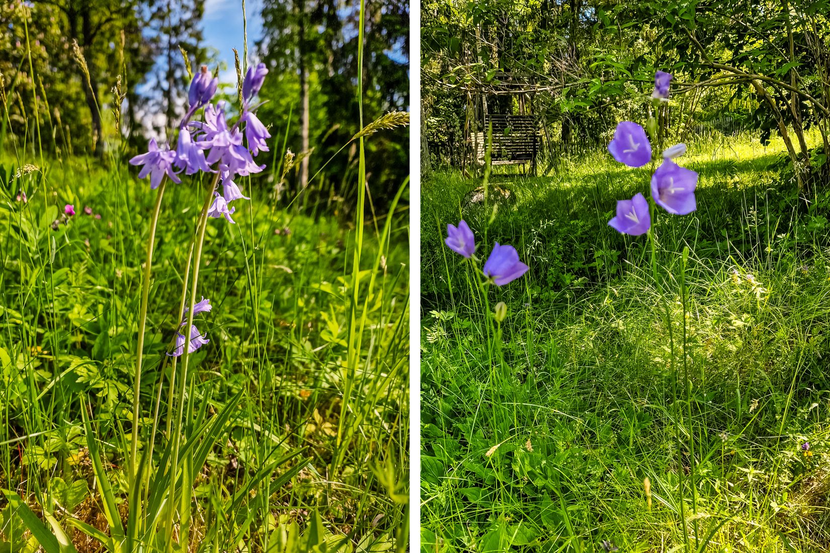 Villa, Wilhelm boys väg 15, Stäket, Järfälla