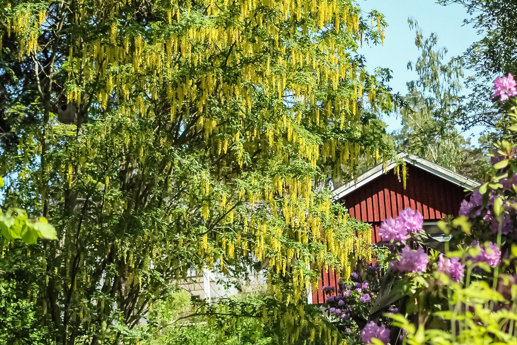 Villa, Wilhelm boys väg 15, Stäket, Järfälla