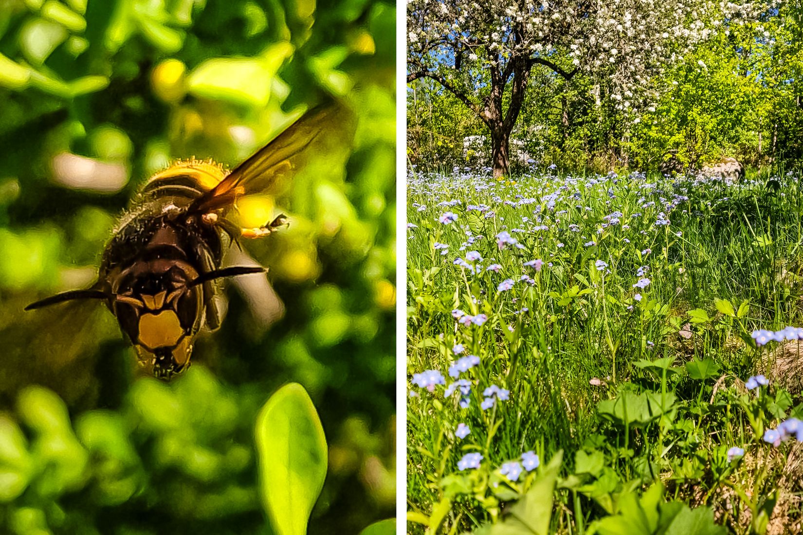 Villa, Wilhelm boys väg 15, Stäket, Järfälla