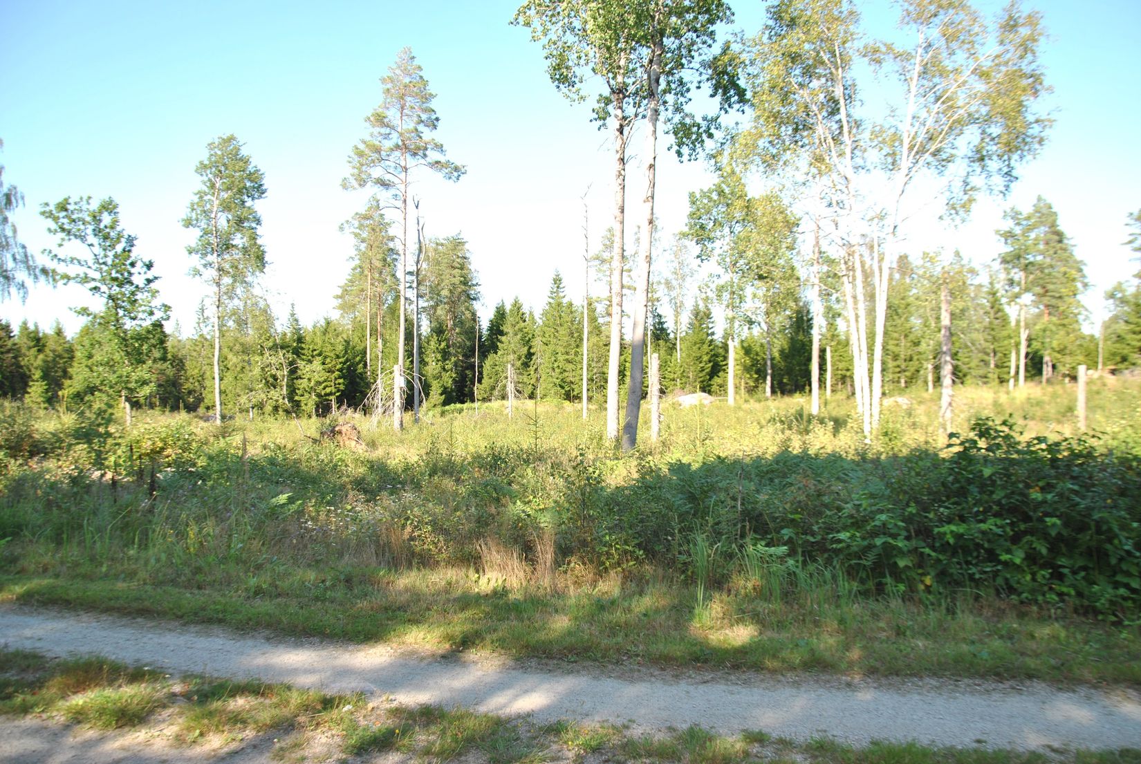 Tomt, Ödeborgs-Bråten 17, Ödeborgs-Bråten, Färgelanda