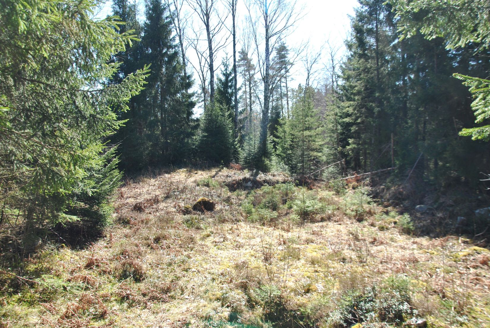 Tomt, Ödeborgs-Bråten 17, Ödeborgs-Bråten, Färgelanda