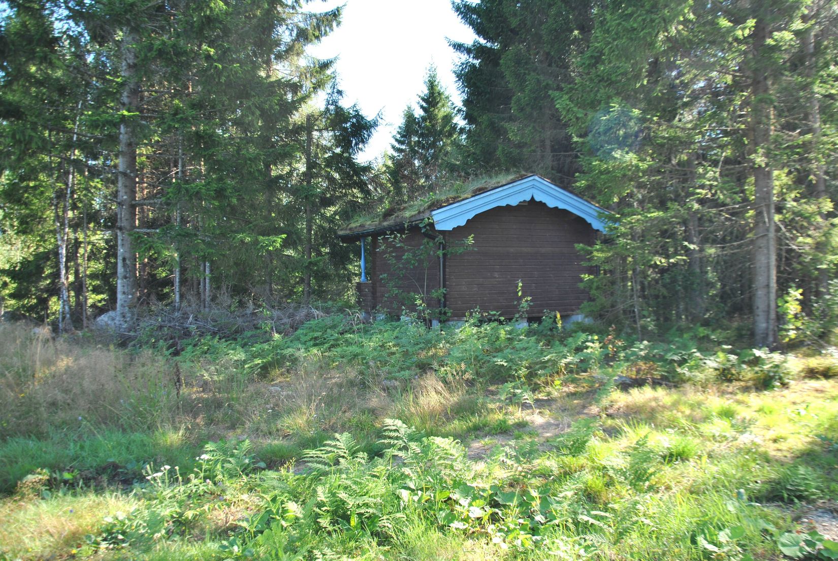 Tomt, Ödeborgs-Bråten 17, Ödeborgs-Bråten, Färgelanda