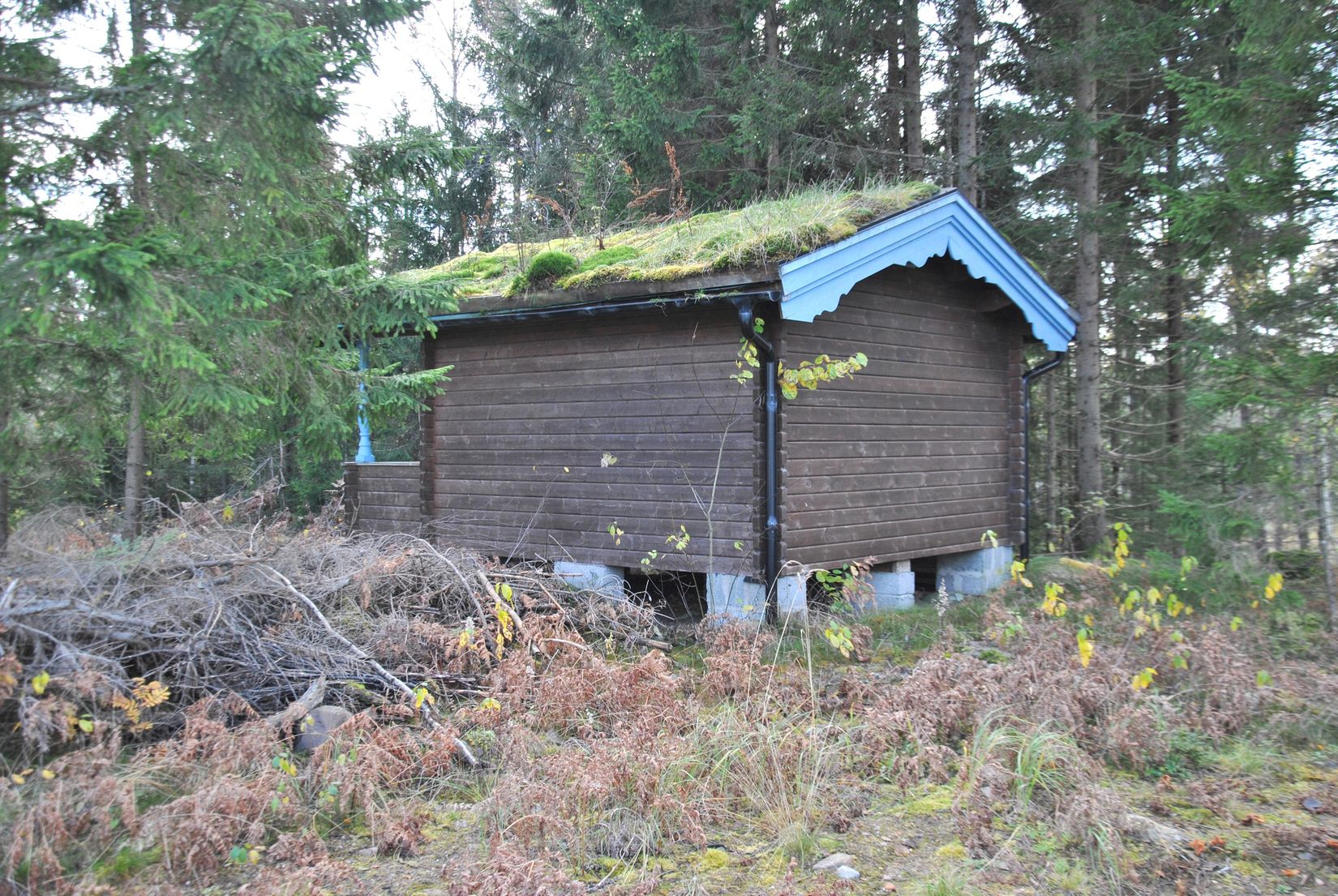 Tomt, Ödeborgs-Bråten 17, Ödeborgs-Bråten, Färgelanda