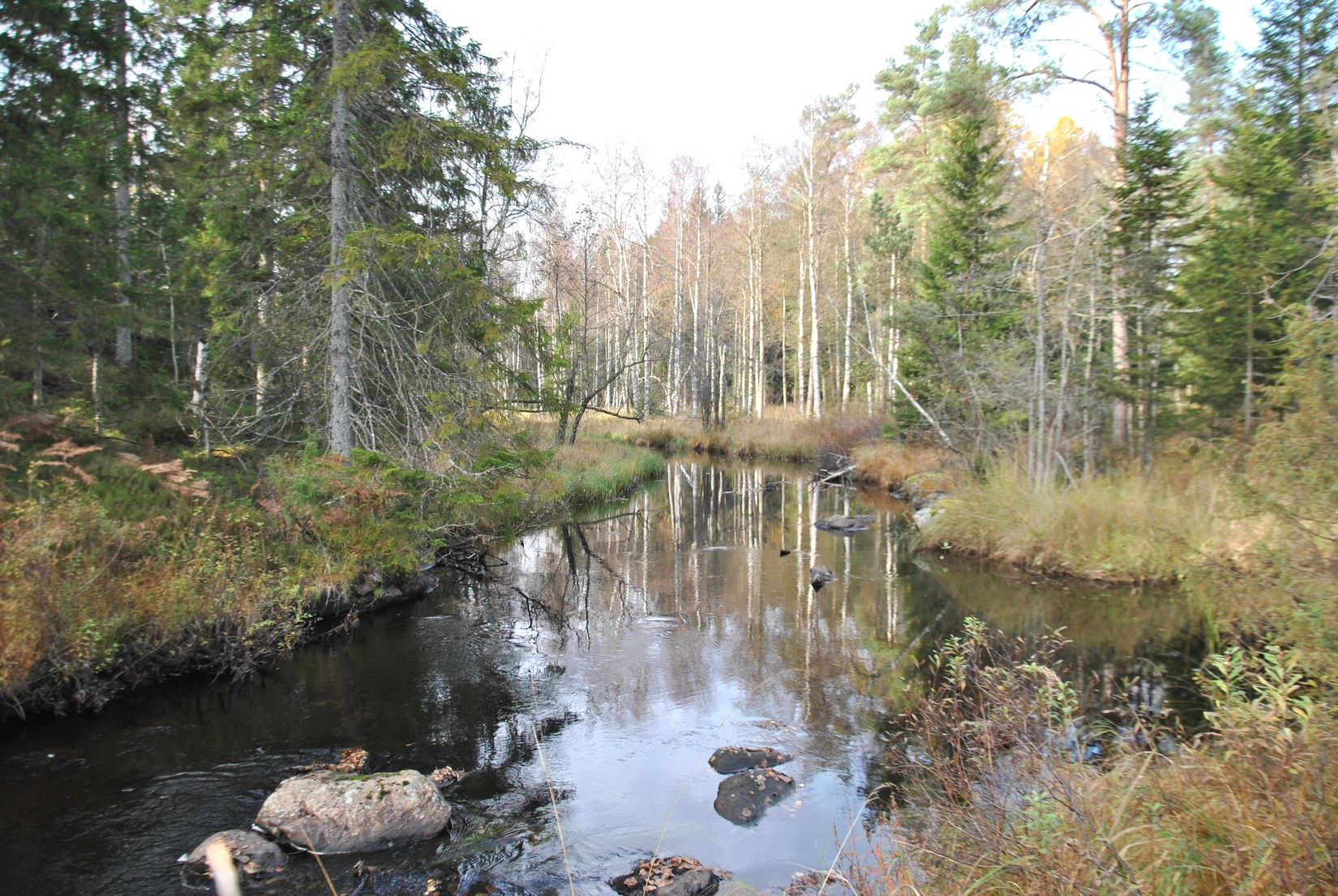 Tomt, Ödeborgs-Bråten 17, Ödeborgs-Bråten, Färgelanda