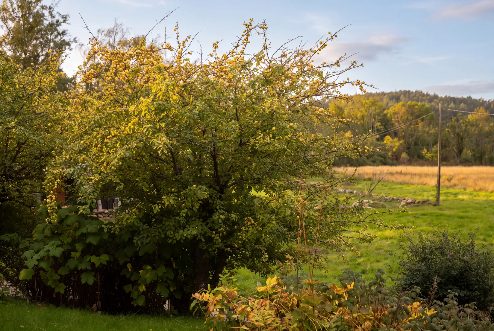 Villa, Valsäng strand 2, Valsäng Strand, Tjörn