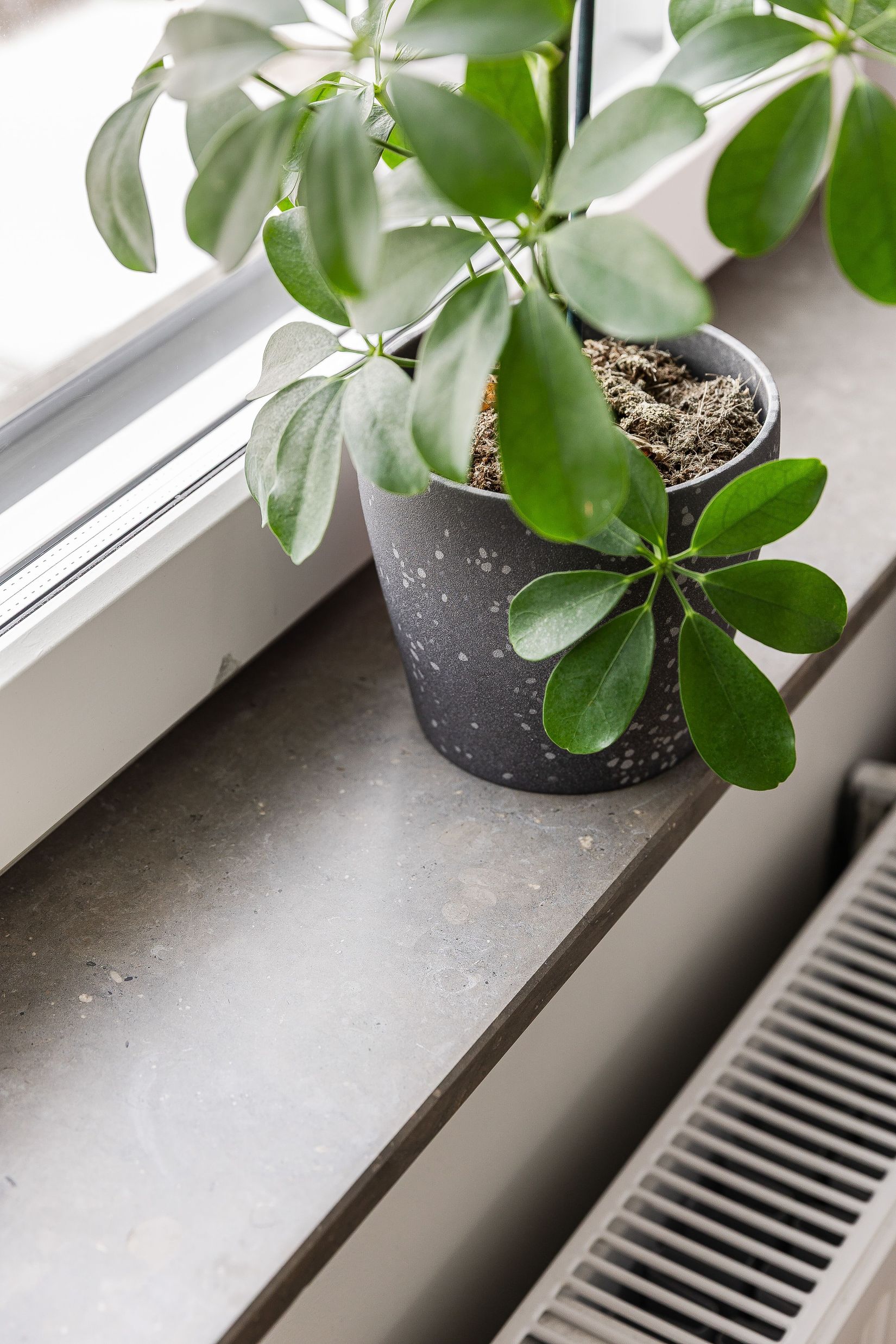 Bostadsrätt, Radhus, Tegskiftesvägen 24, Älvängen, Ale