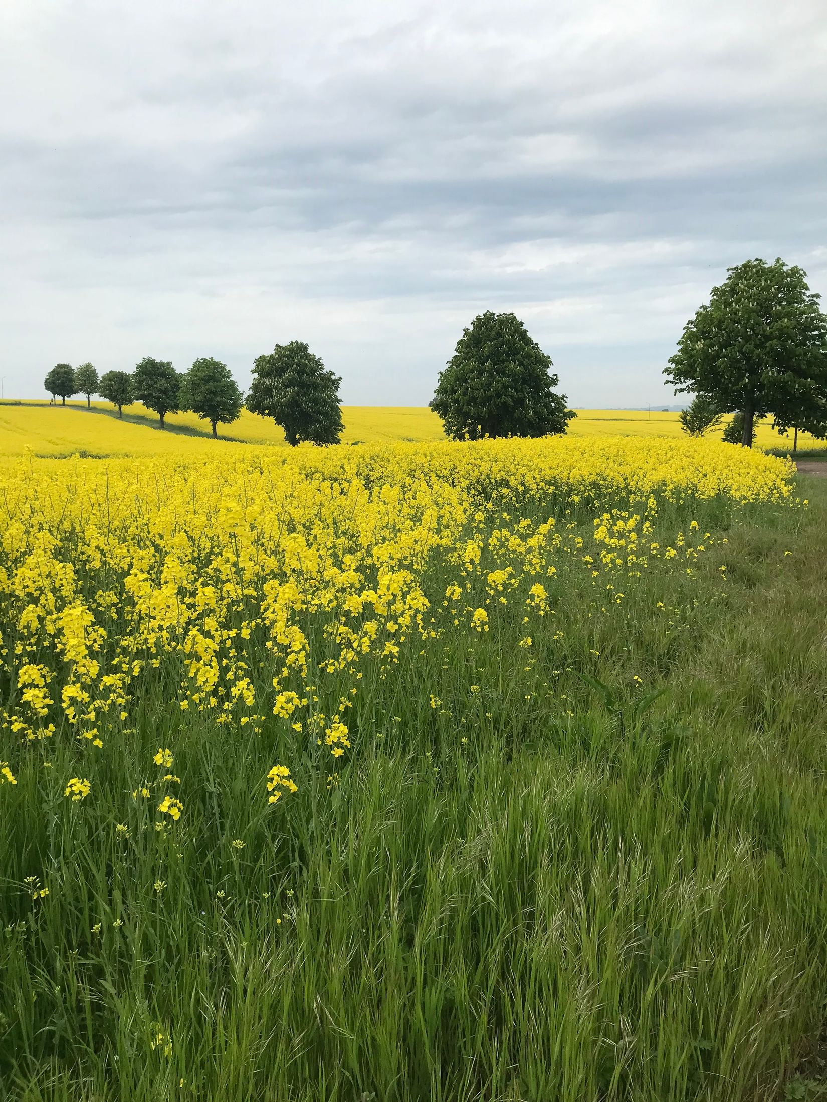 Bostadsrätt, Bredablick 2B, Landskrona