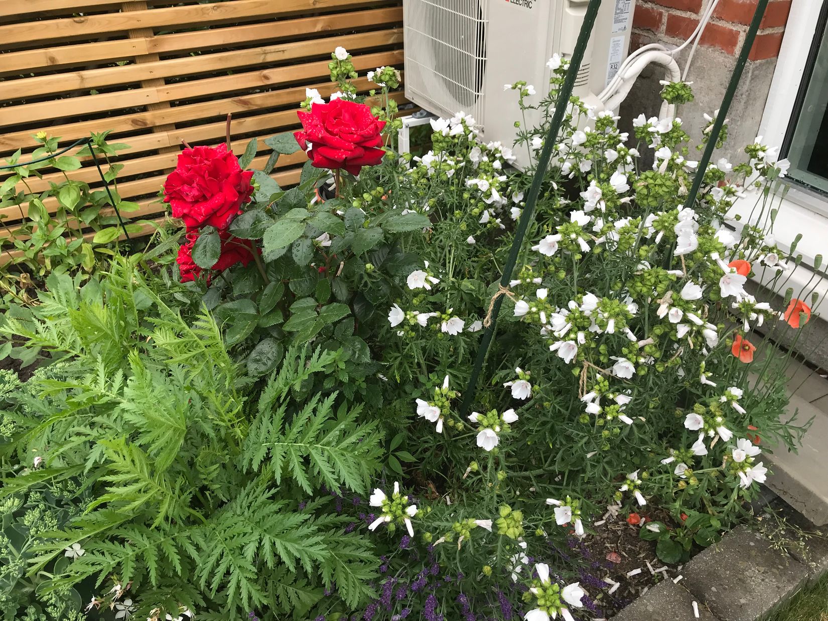 Bostadsrätt, Bredablick 2B, Landskrona