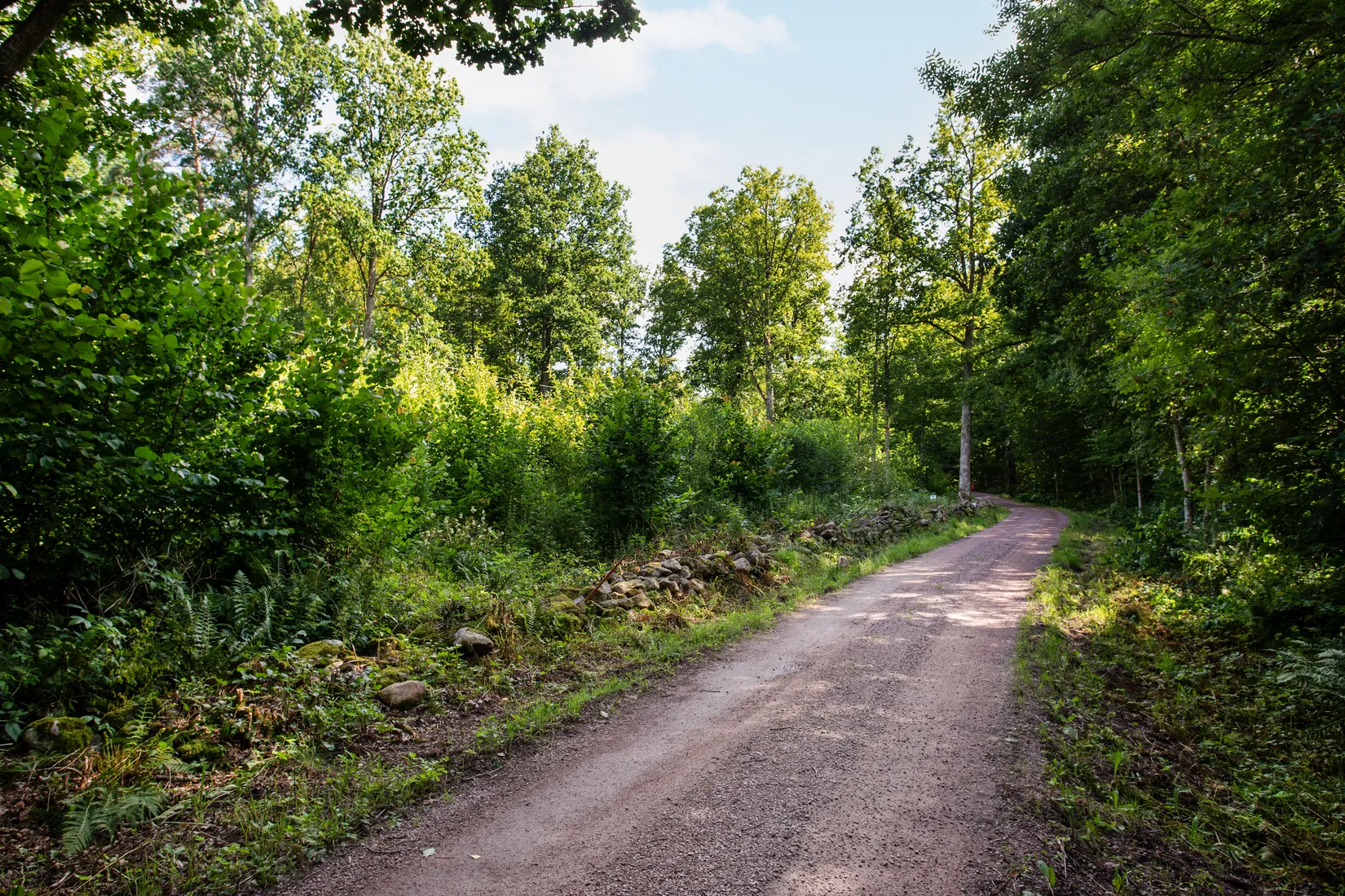 Tomt, Killebodavägen 203, Arkelstorp, Kristianstad