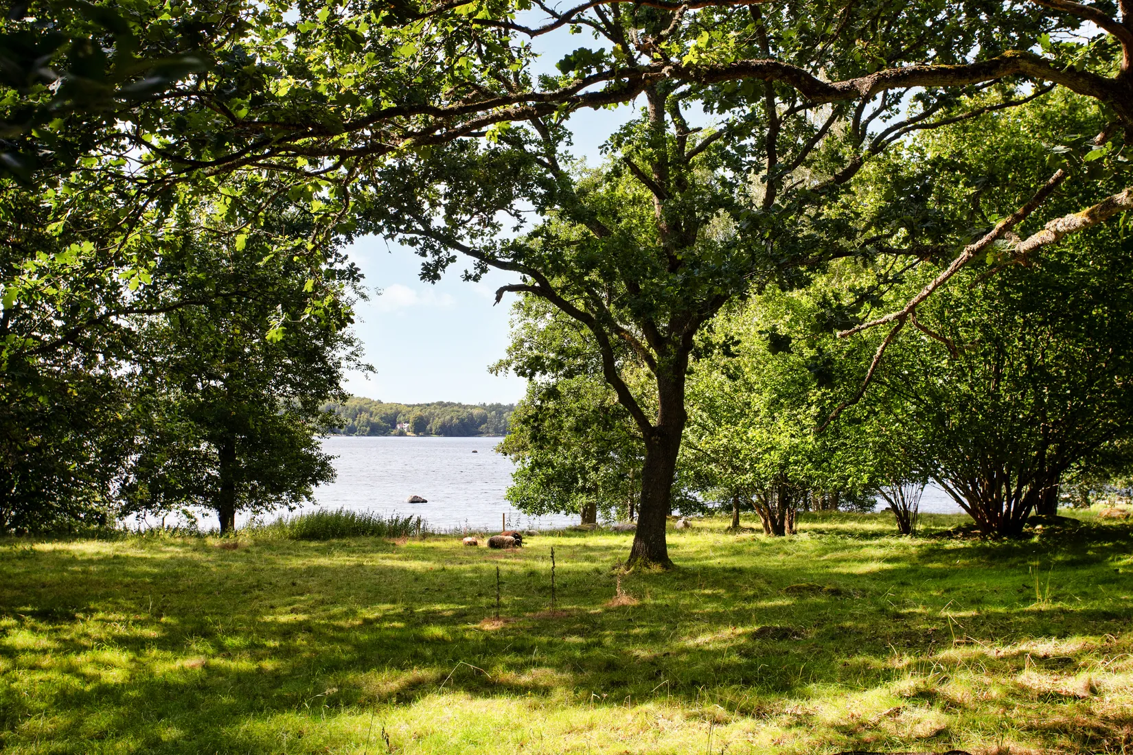Tomt, Killebodavägen 203, Arkelstorp, Kristianstad